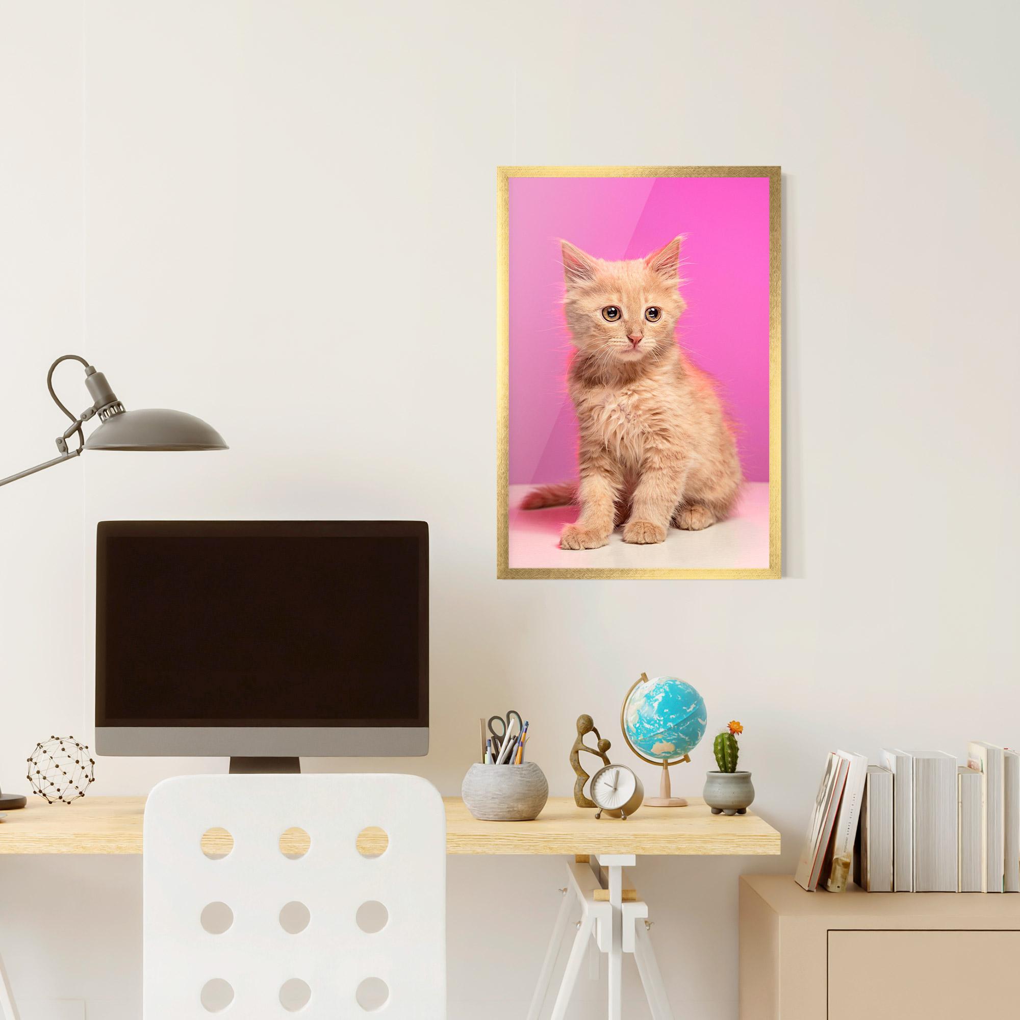 Рамкиран постер Orange Cat On Pink mockup 6