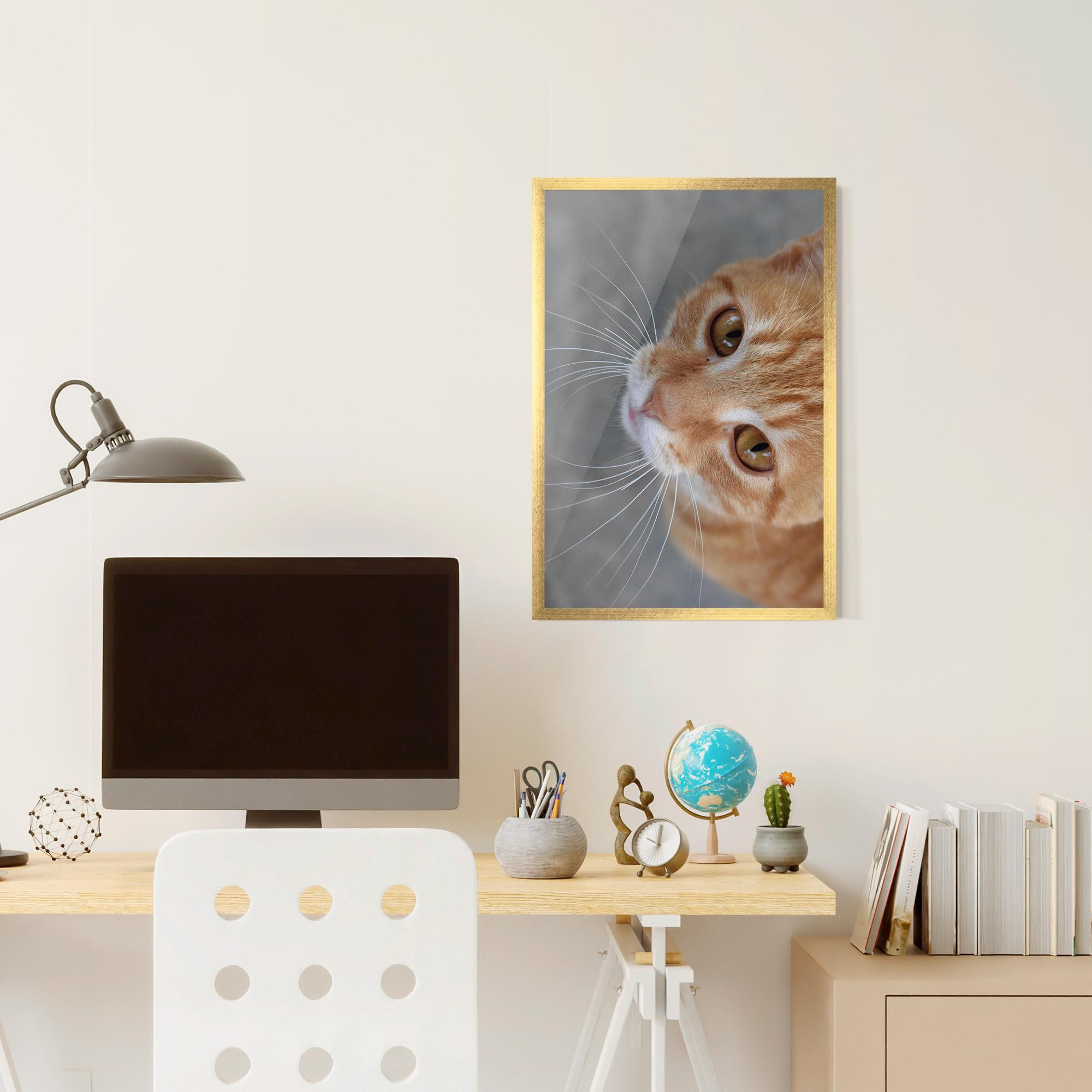 Рамкиран постер Pretty Orange Eyes Cat mockup 6