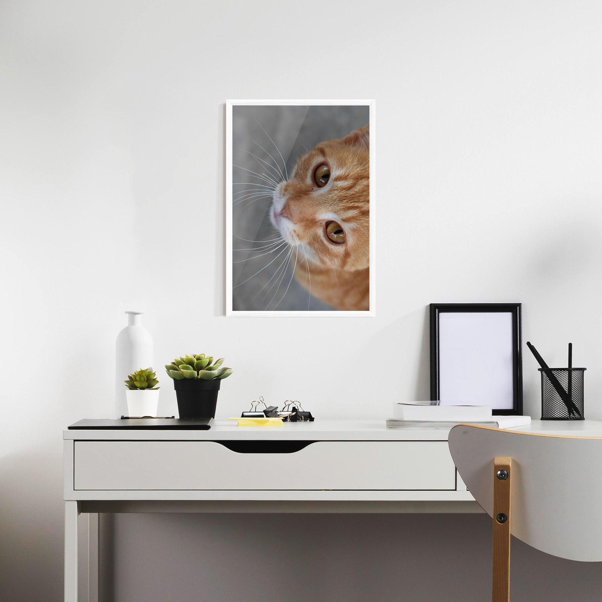 Рамкиран постер Pretty Orange Eyes Cat mockup 7