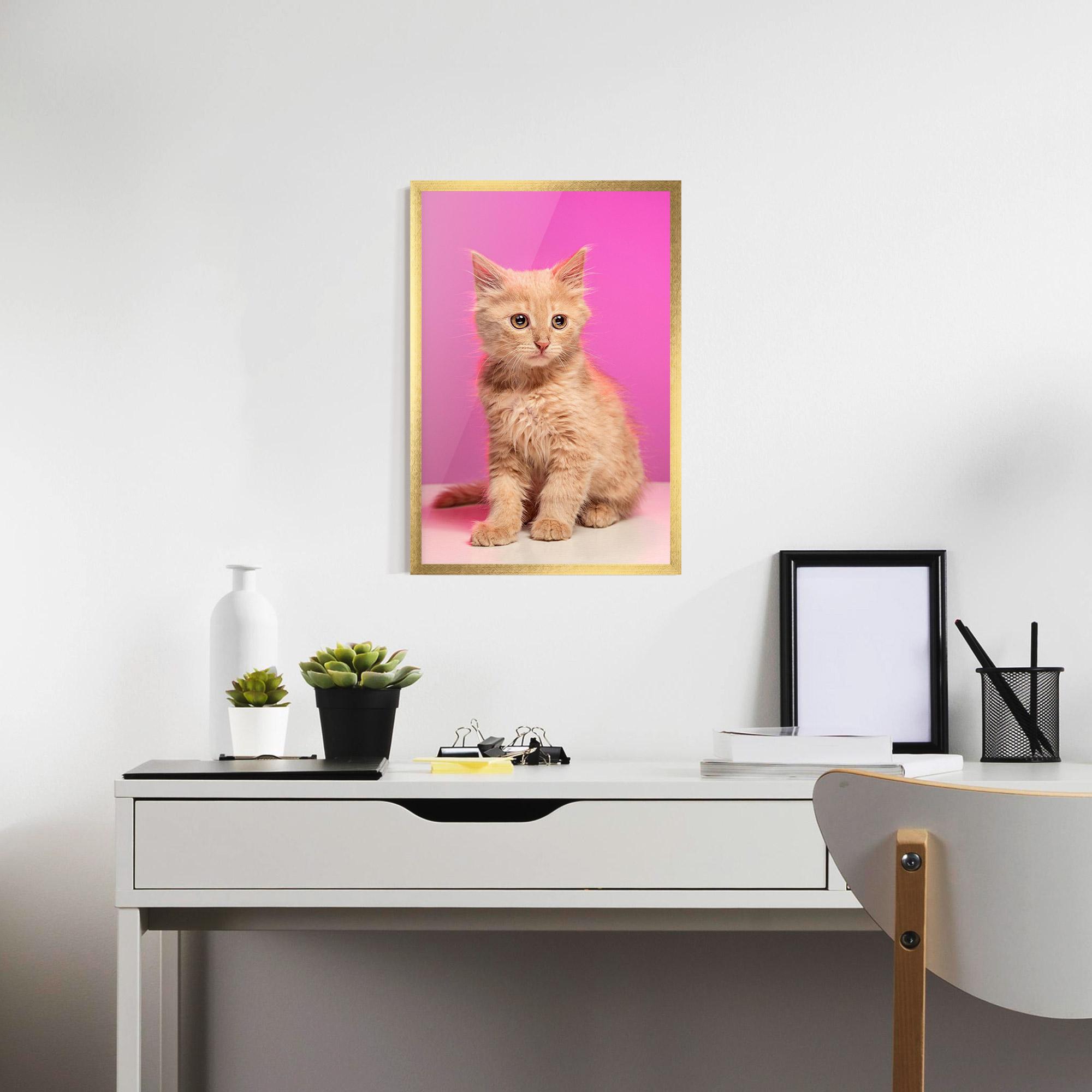 Рамкиран постер Orange Cat On Pink mockup 7
