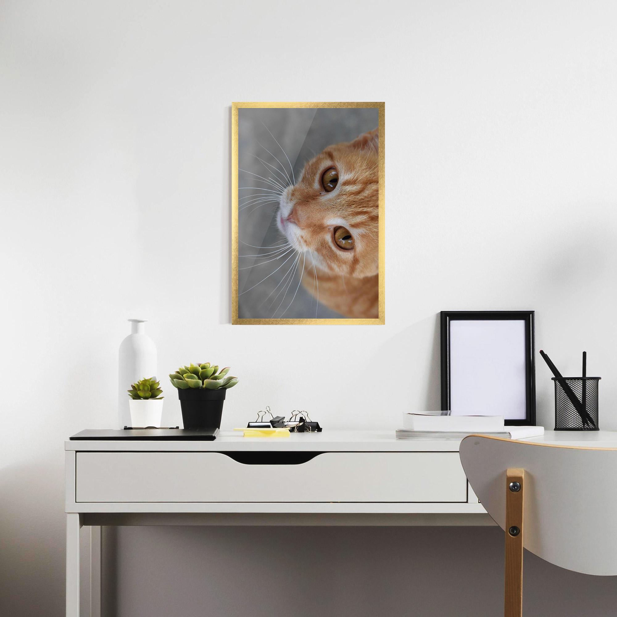 Рамкиран постер Pretty Orange Eyes Cat mockup 7