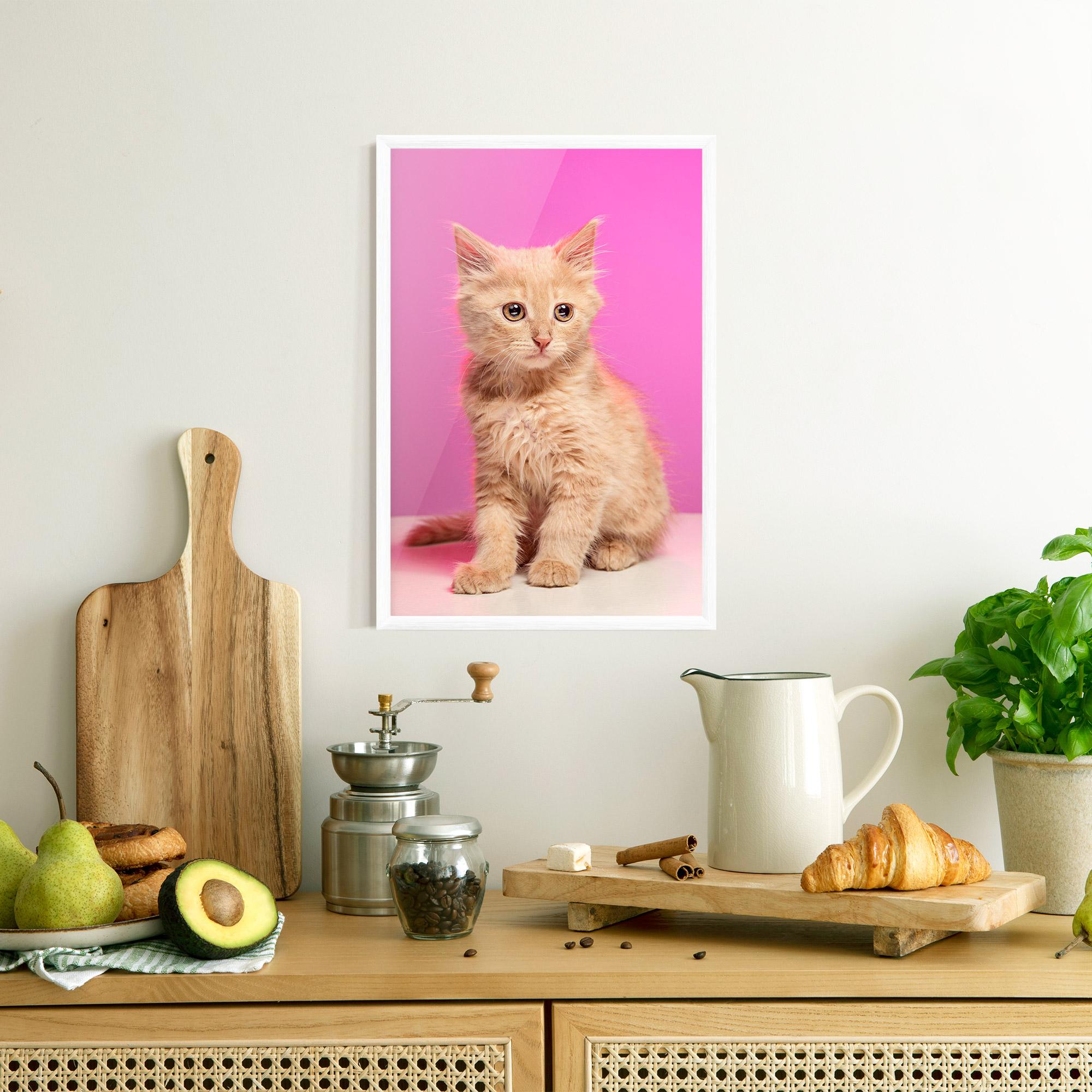 Рамкиран постер Orange Cat On Pink mockup 8