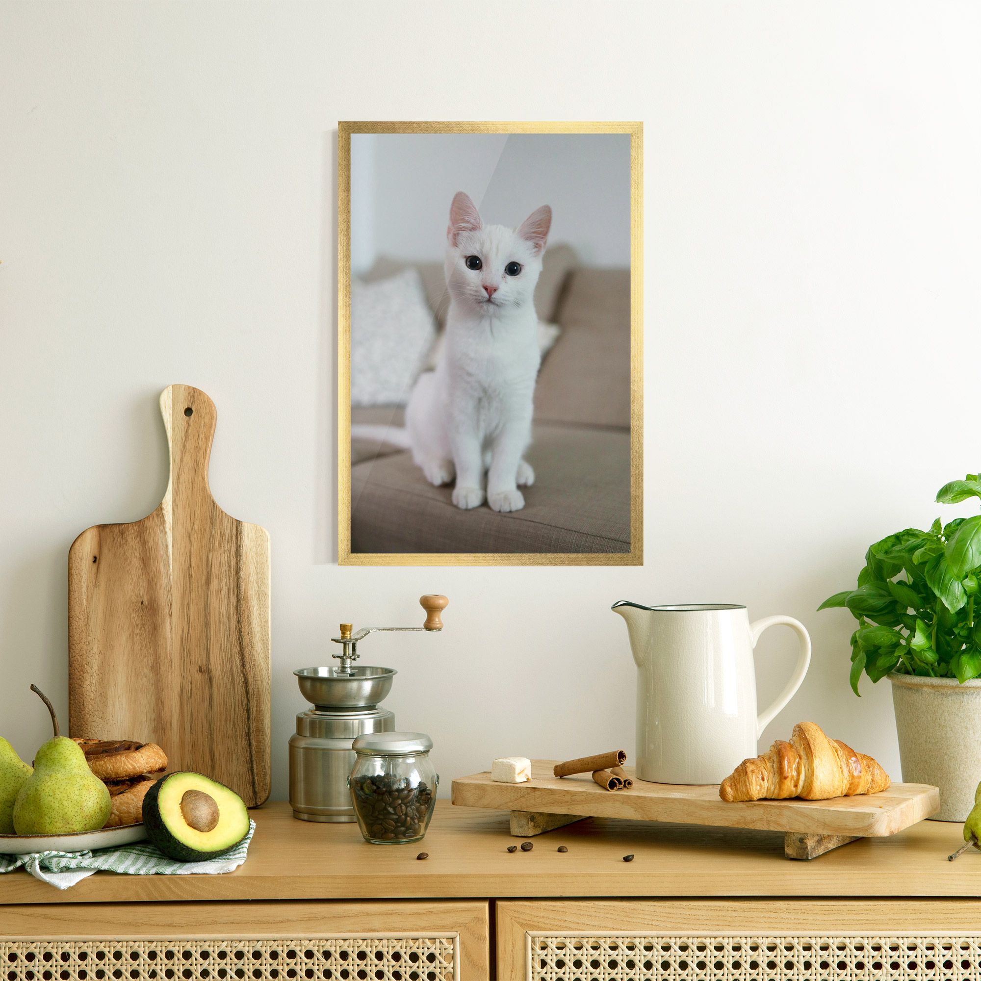 Beautiful White Cat mockup 8