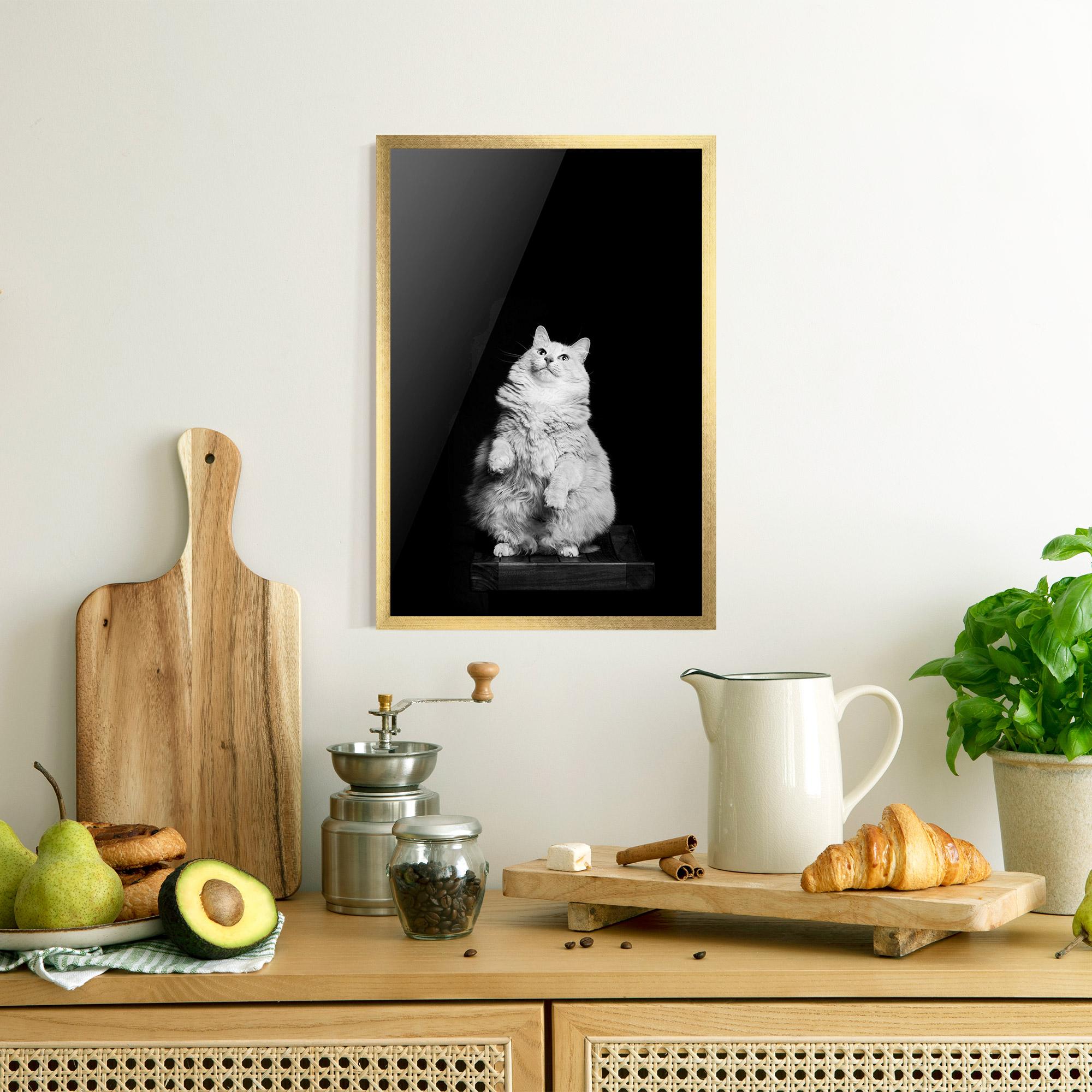 Рамкиран постер Big Fluffy Cat mockup 8