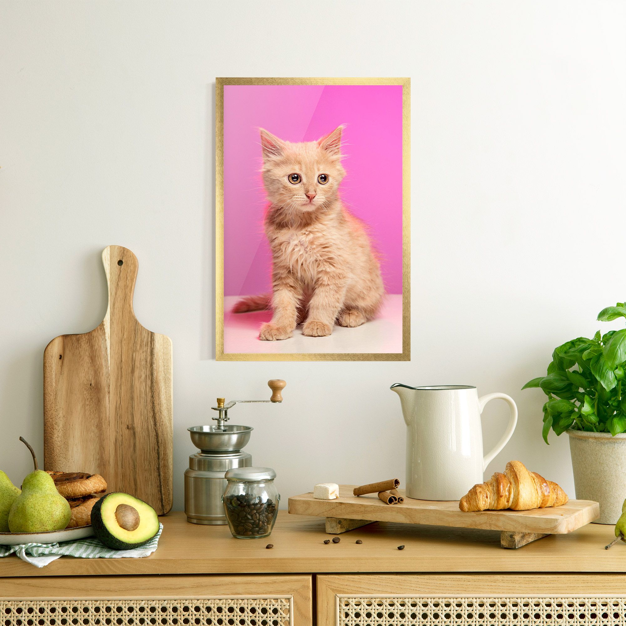 Orange Cat On Pink mockup 8