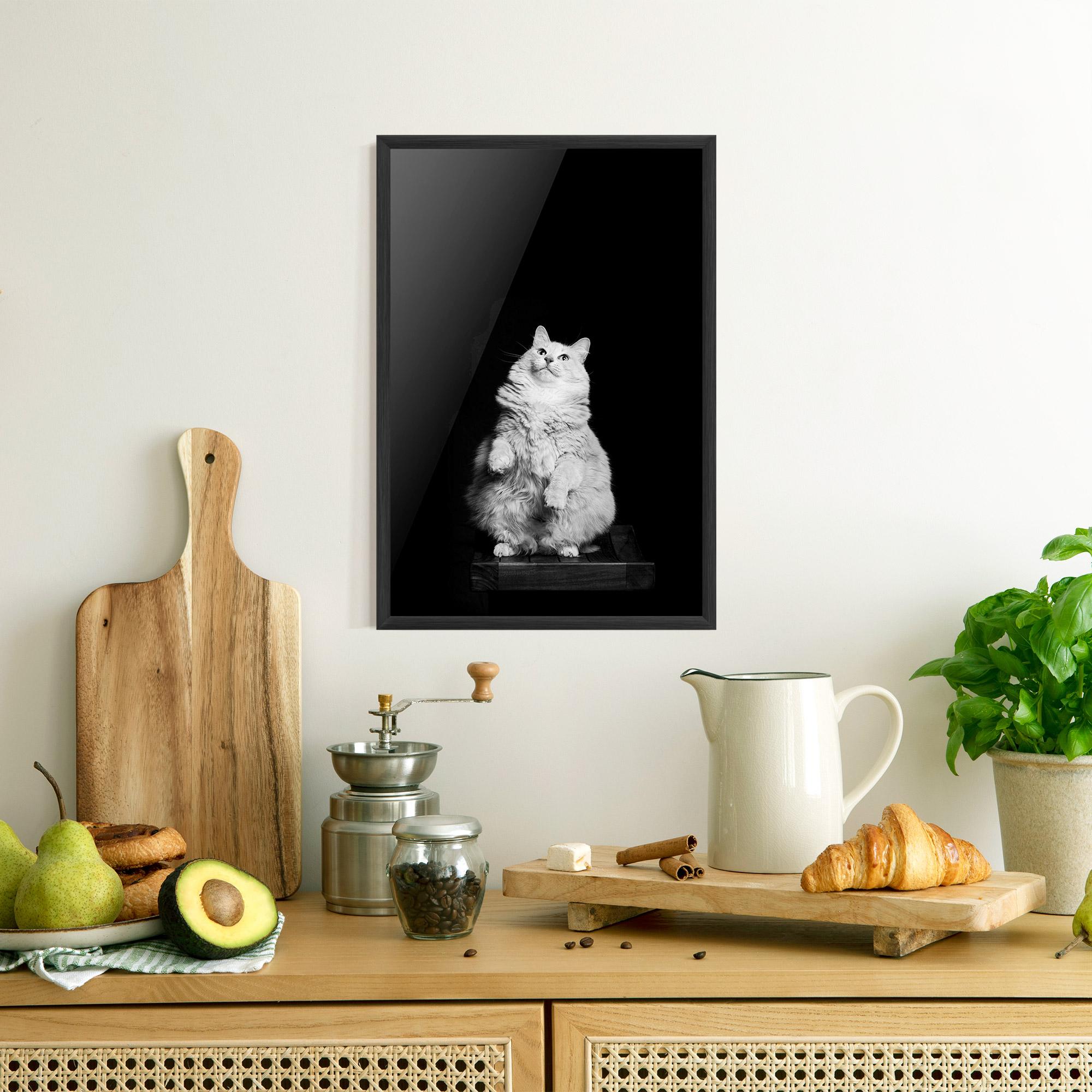Рамкиран постер Big Fluffy Cat mockup 8