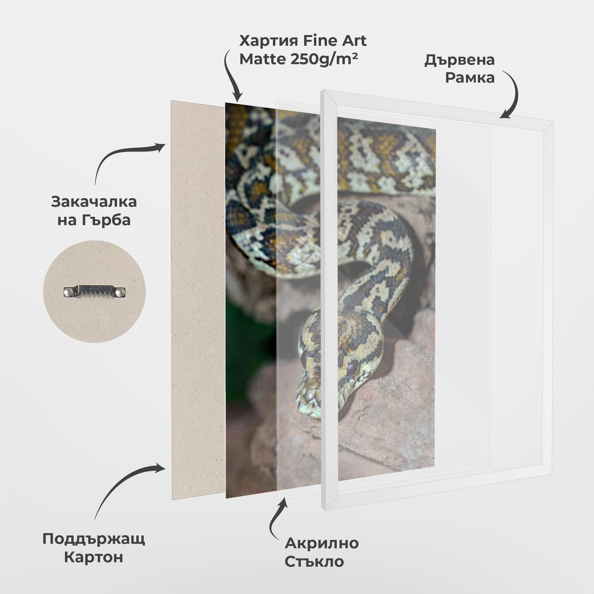 Рамкиран постер King Snake mockup 1