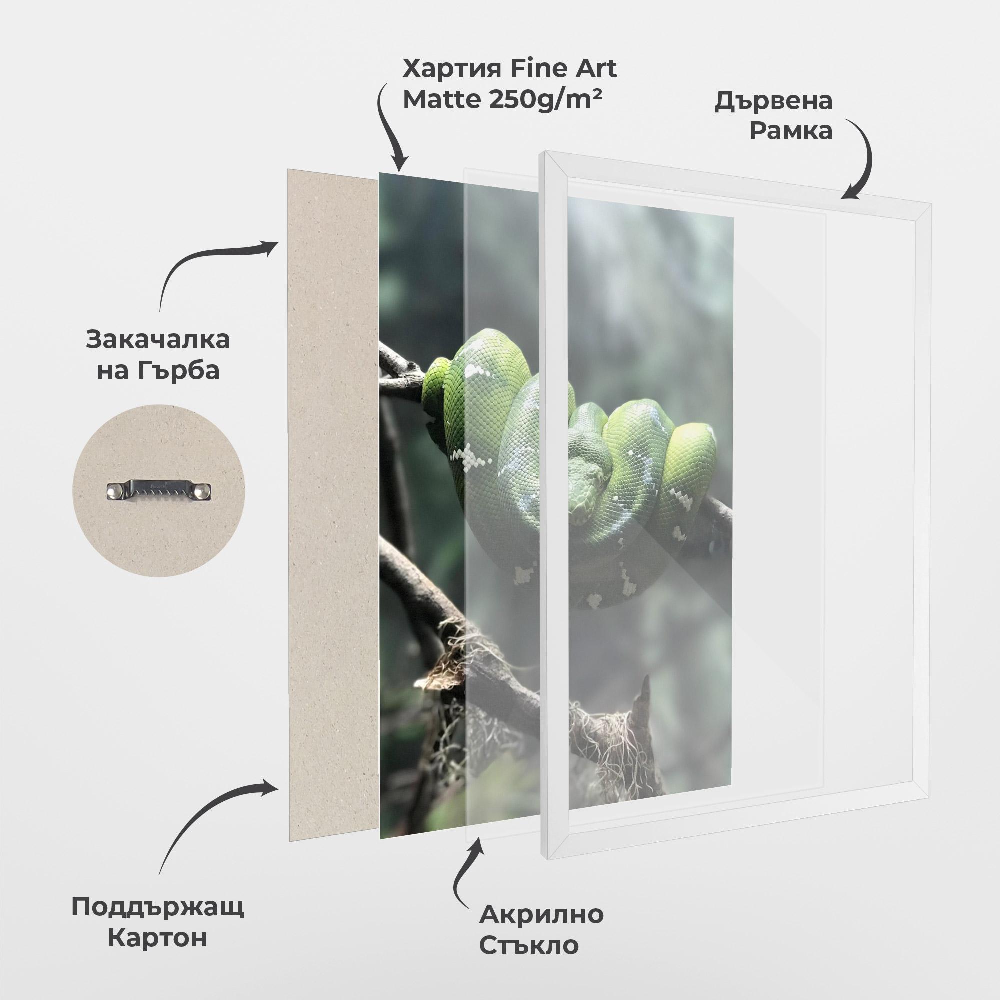 Рамкиран постер Sleepy Snake mockup 1