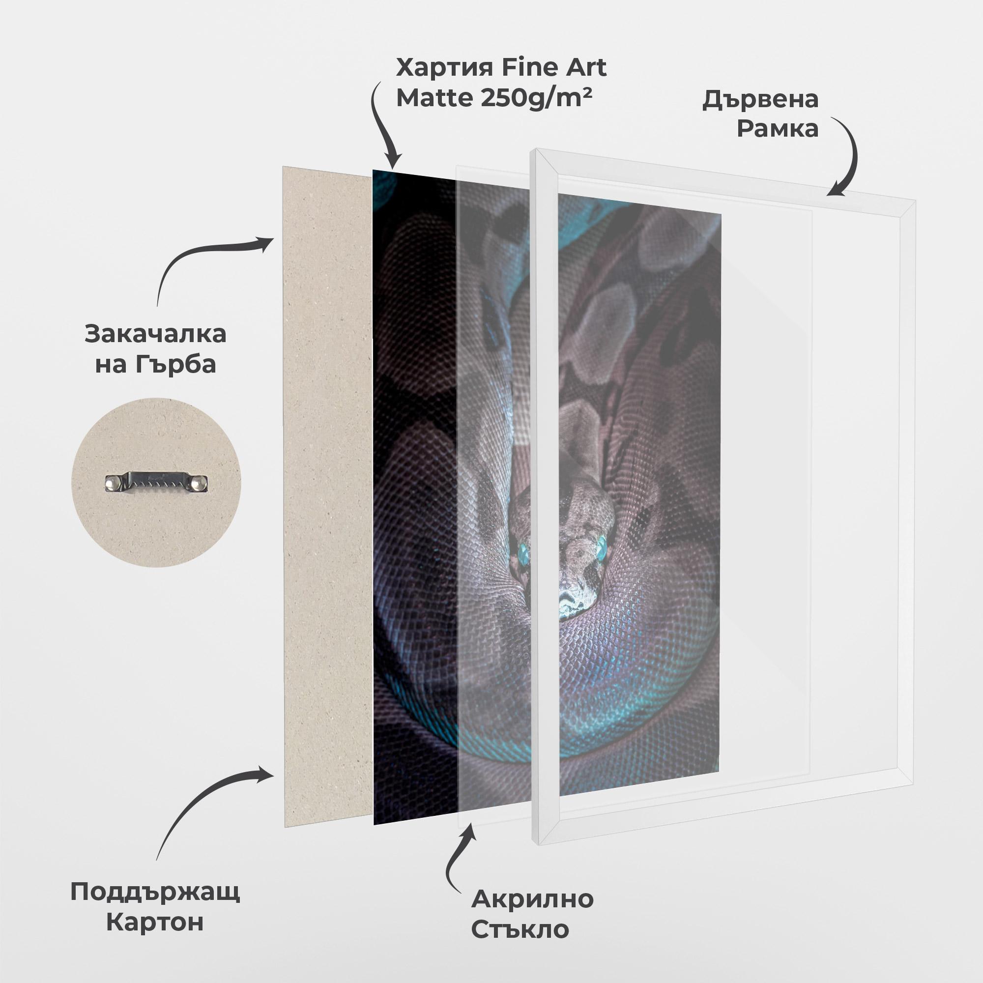 Рамкиран постер Vibrant Snake mockup 1