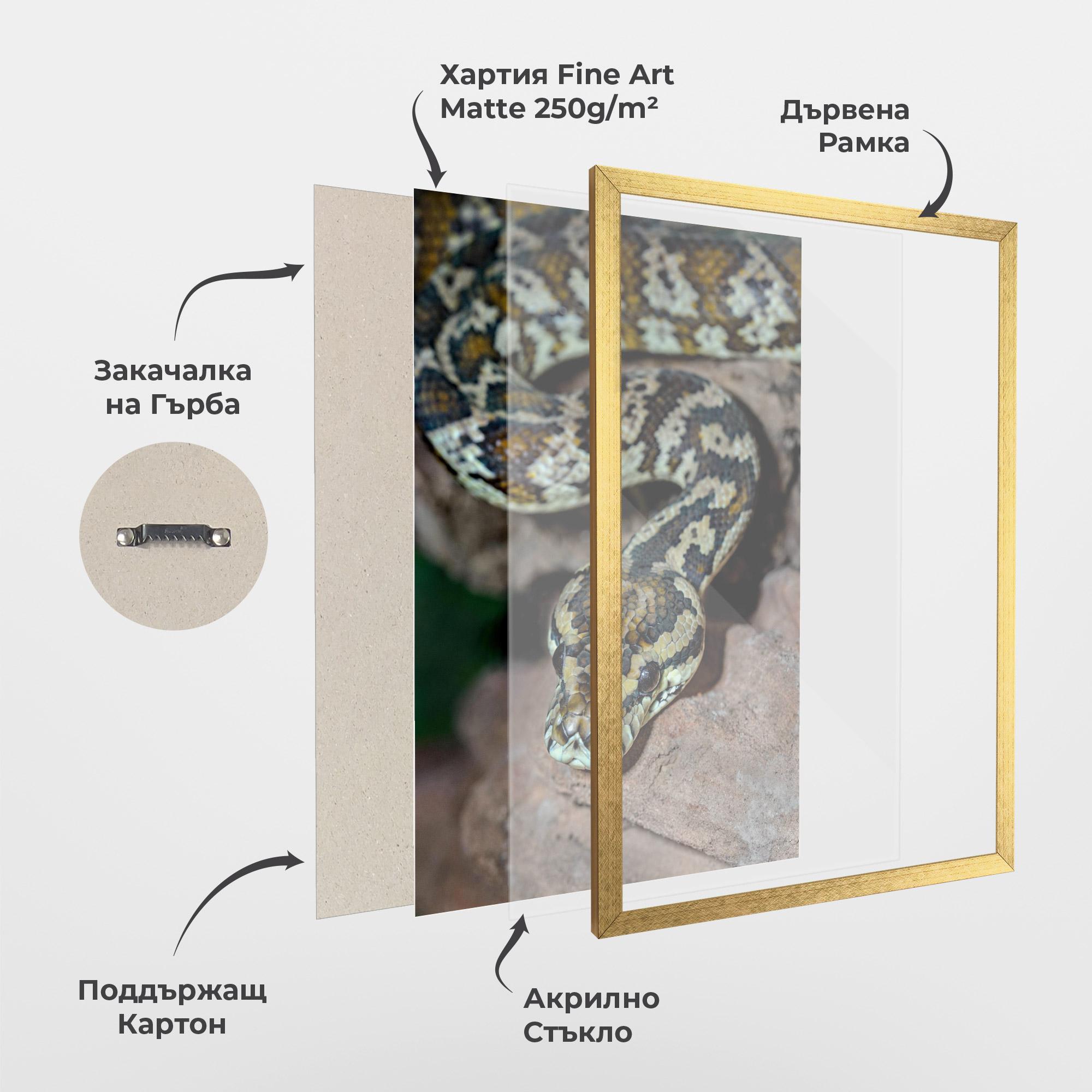 Рамкиран постер King Snake mockup 1