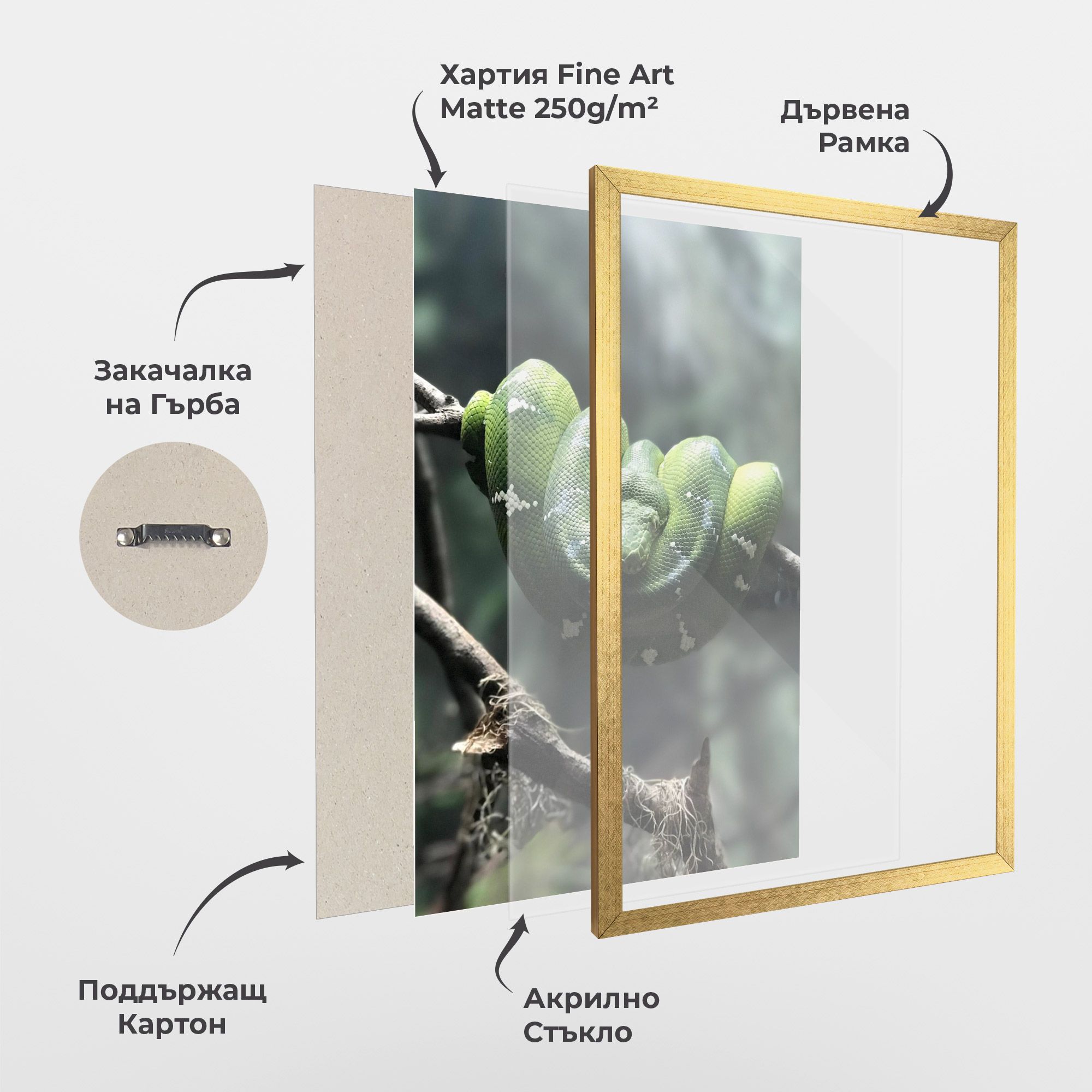 Sleepy Snake mockup 1