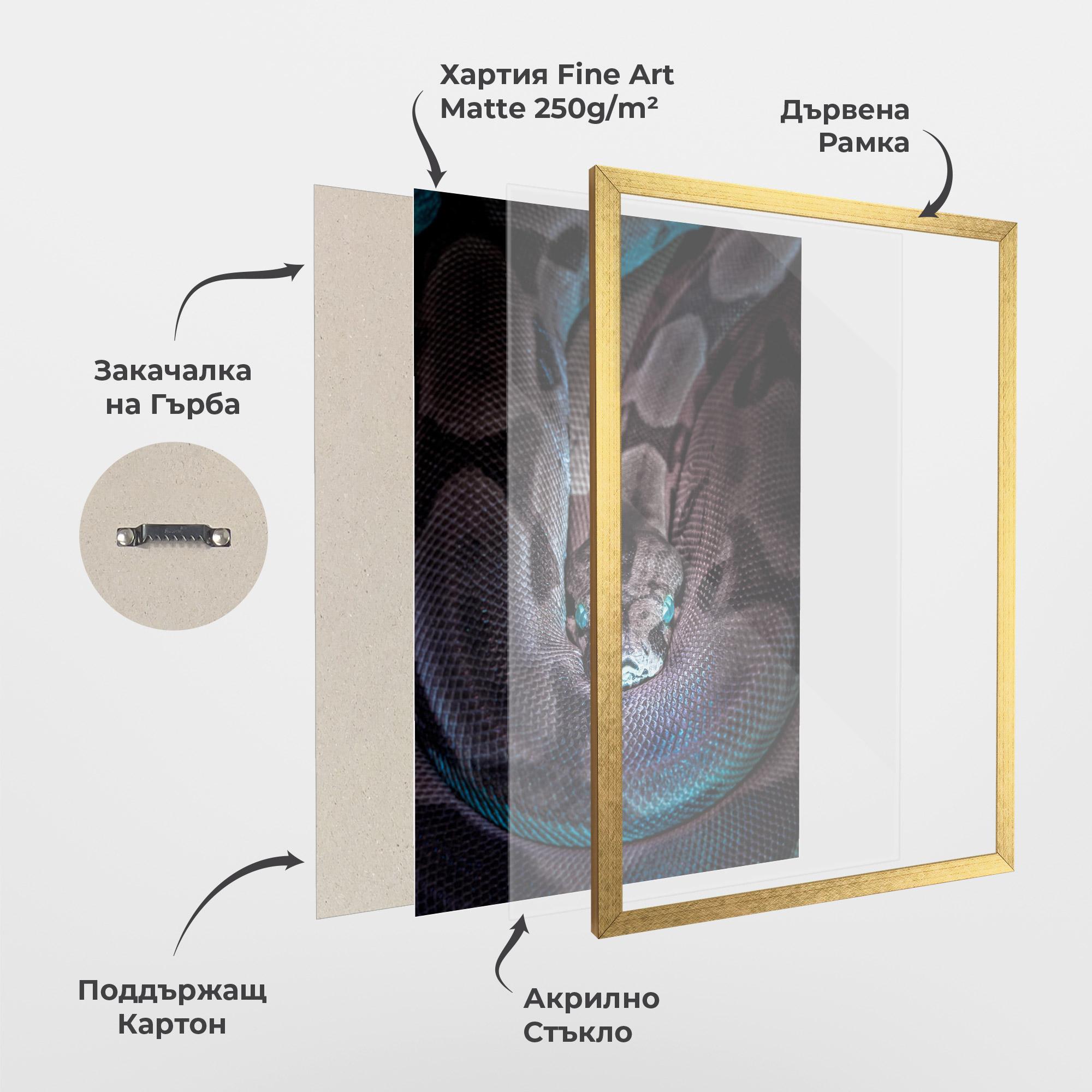 Рамкиран постер Vibrant Snake mockup 1