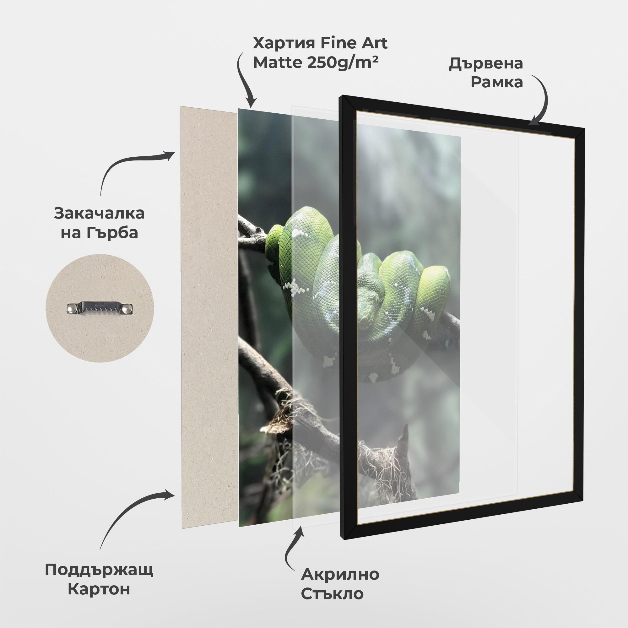 Рамкиран постер Sleepy Snake mockup 1