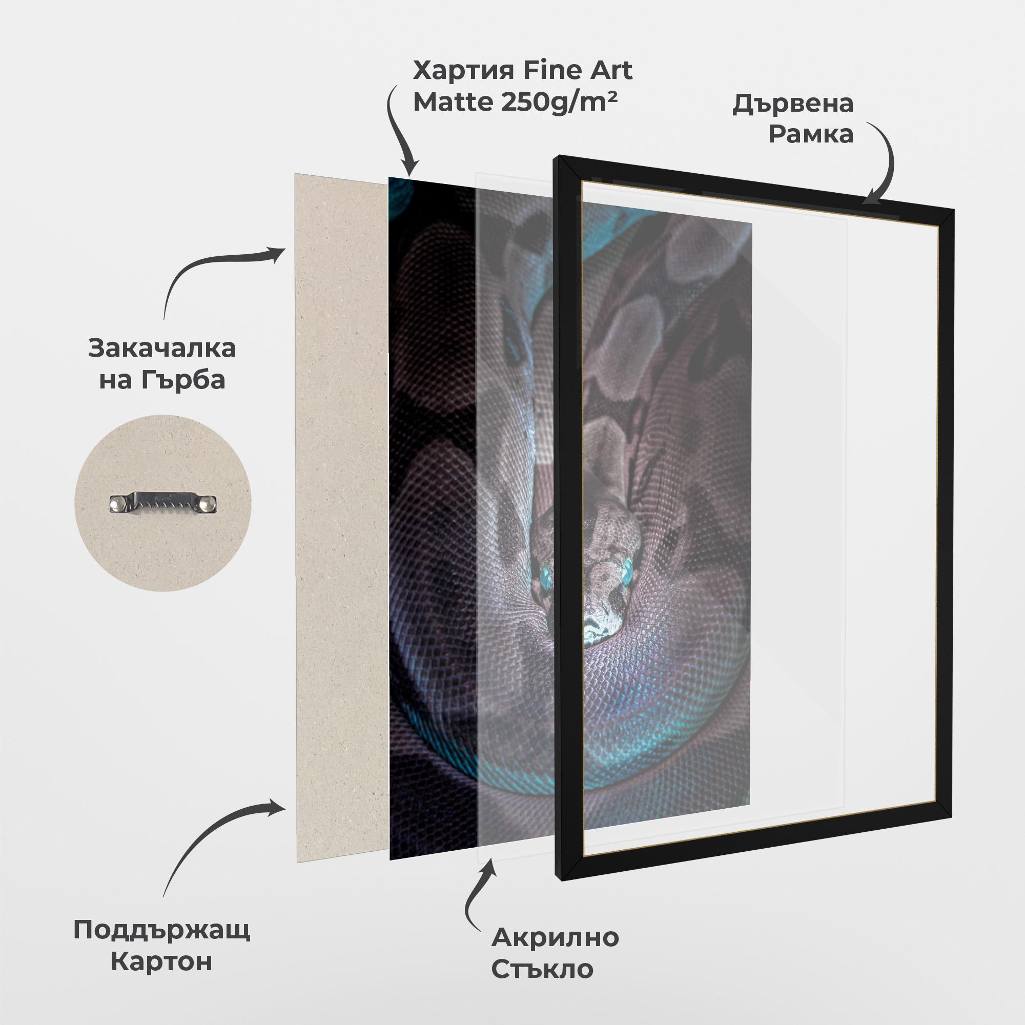 Рамкиран постер Vibrant Snake mockup 1