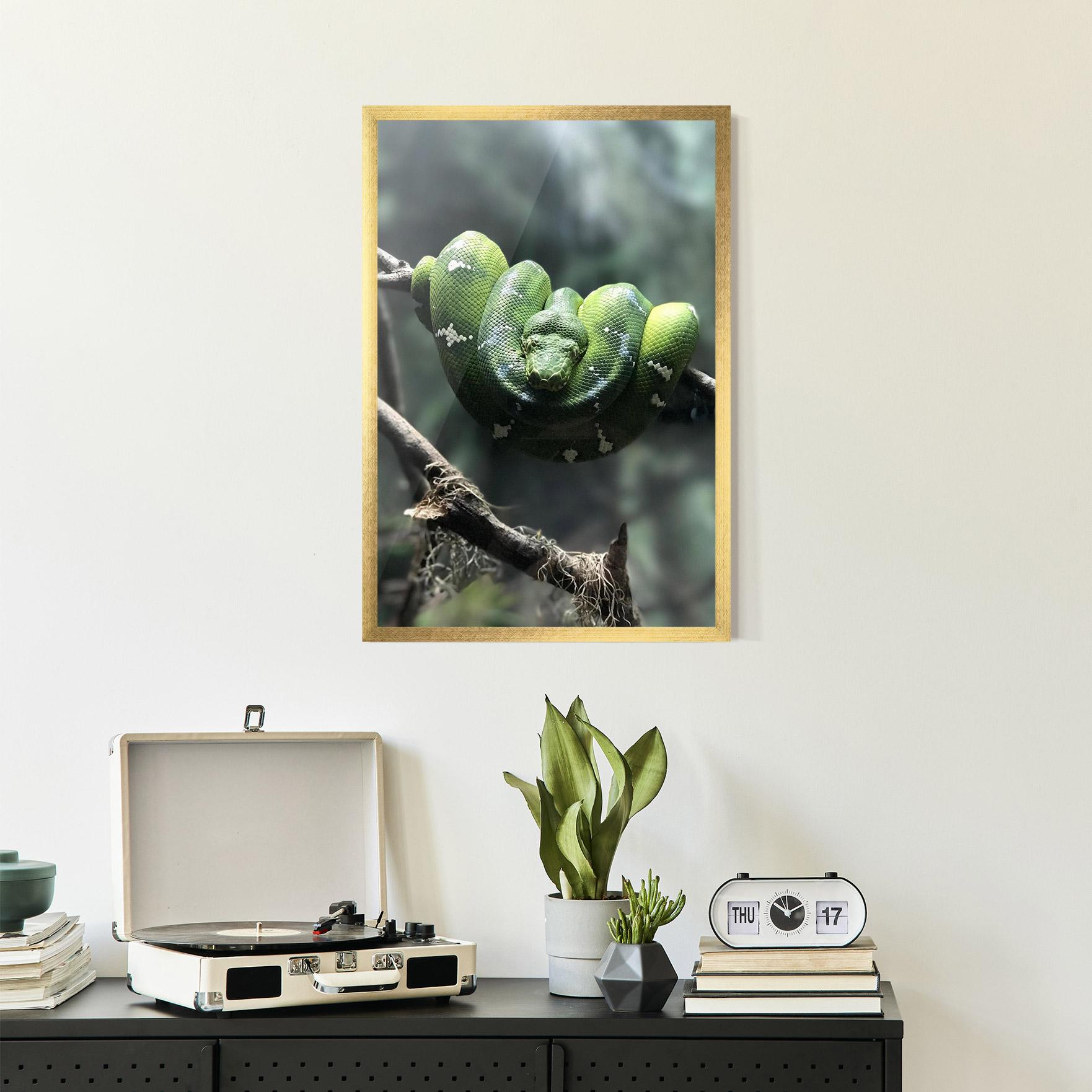 Рамкиран постер Sleepy Snake mockup 2