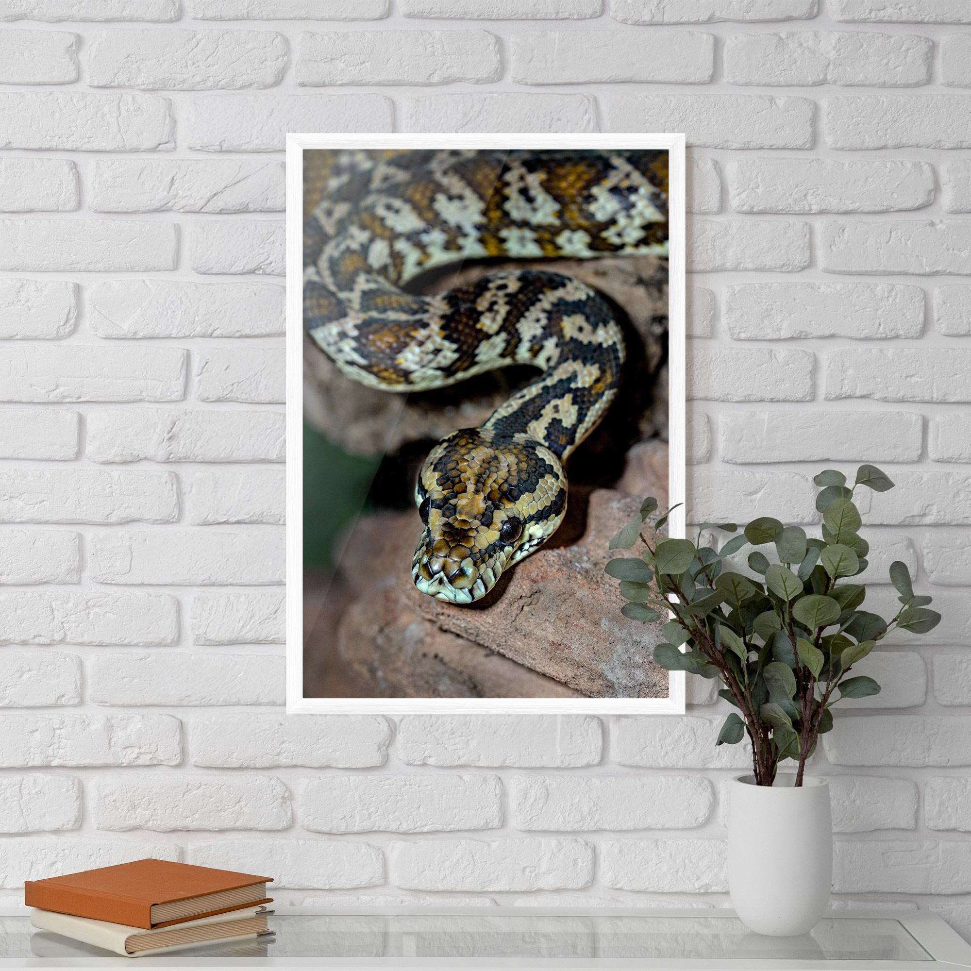 King Snake mockup 5