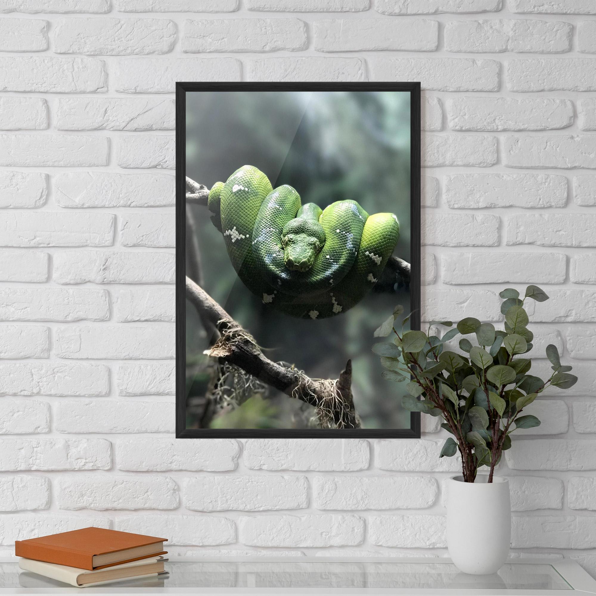 Рамкиран постер Sleepy Snake mockup 5