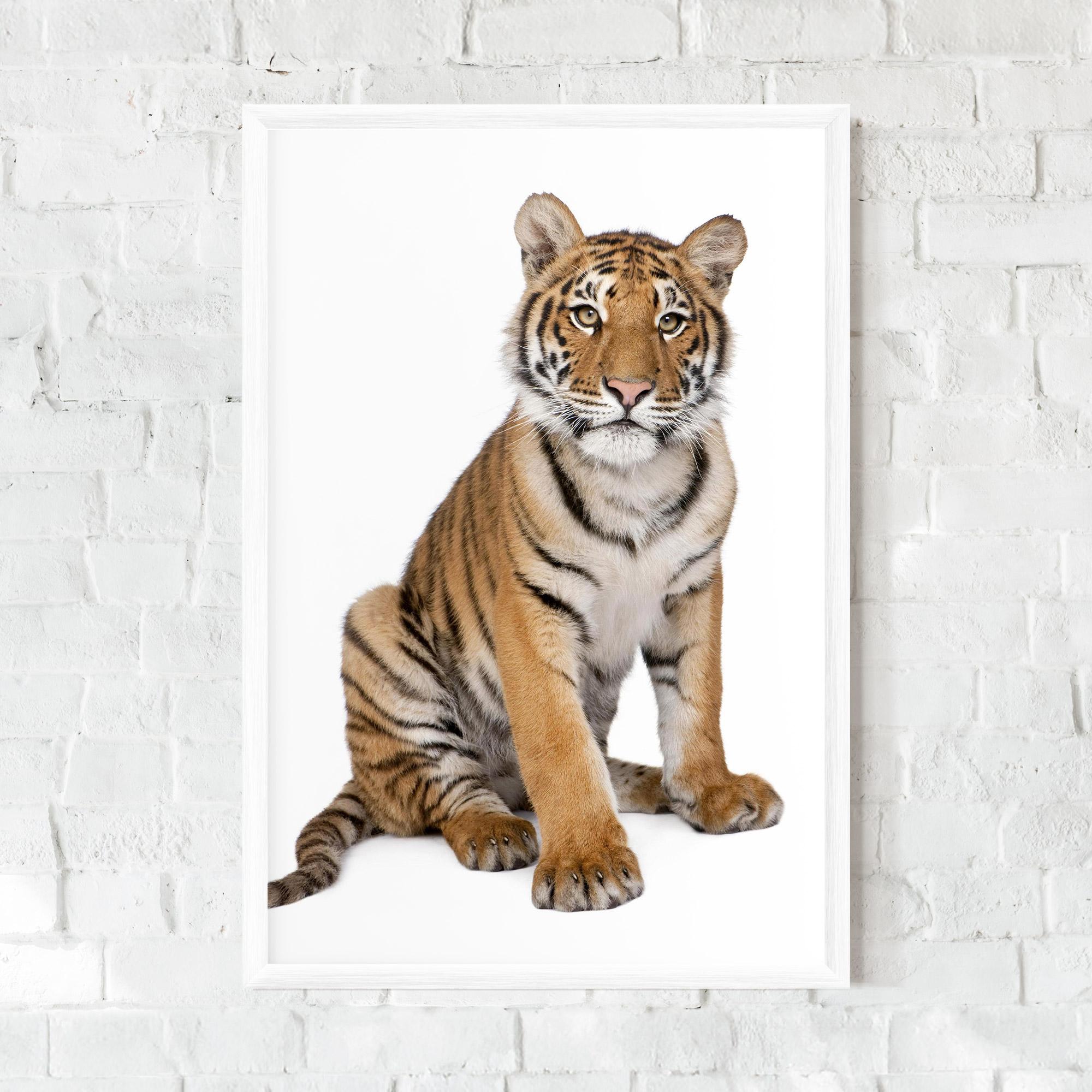 Рамкиран постер Baby Tiger mockup 0