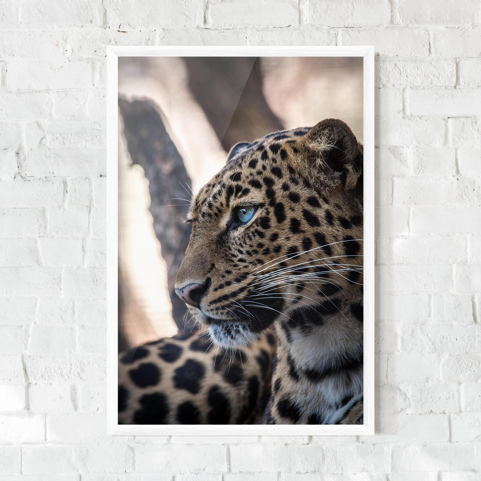 Рамкиран постер Blue Tiger mockup 0