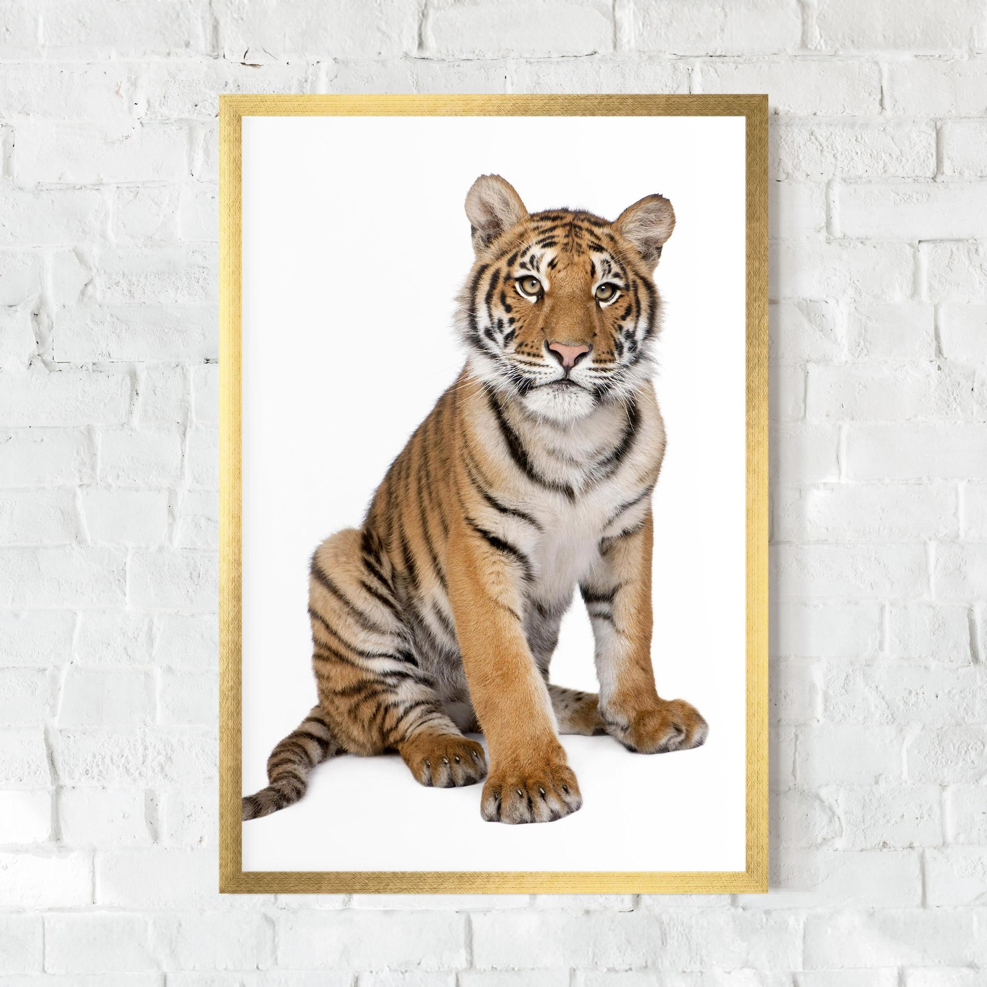 Рамкиран постер Baby Tiger mockup 0