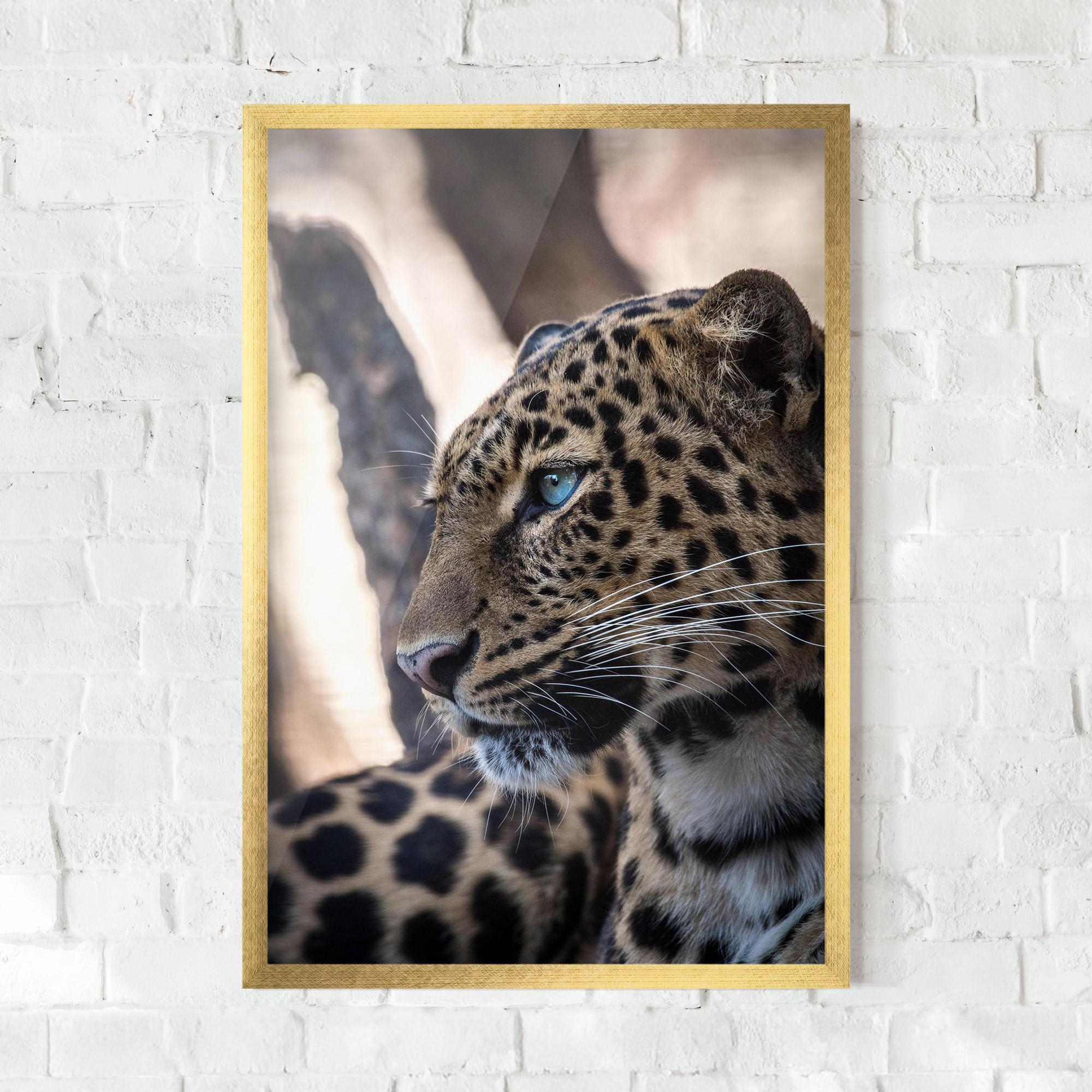 Рамкиран постер Blue Tiger mockup 0