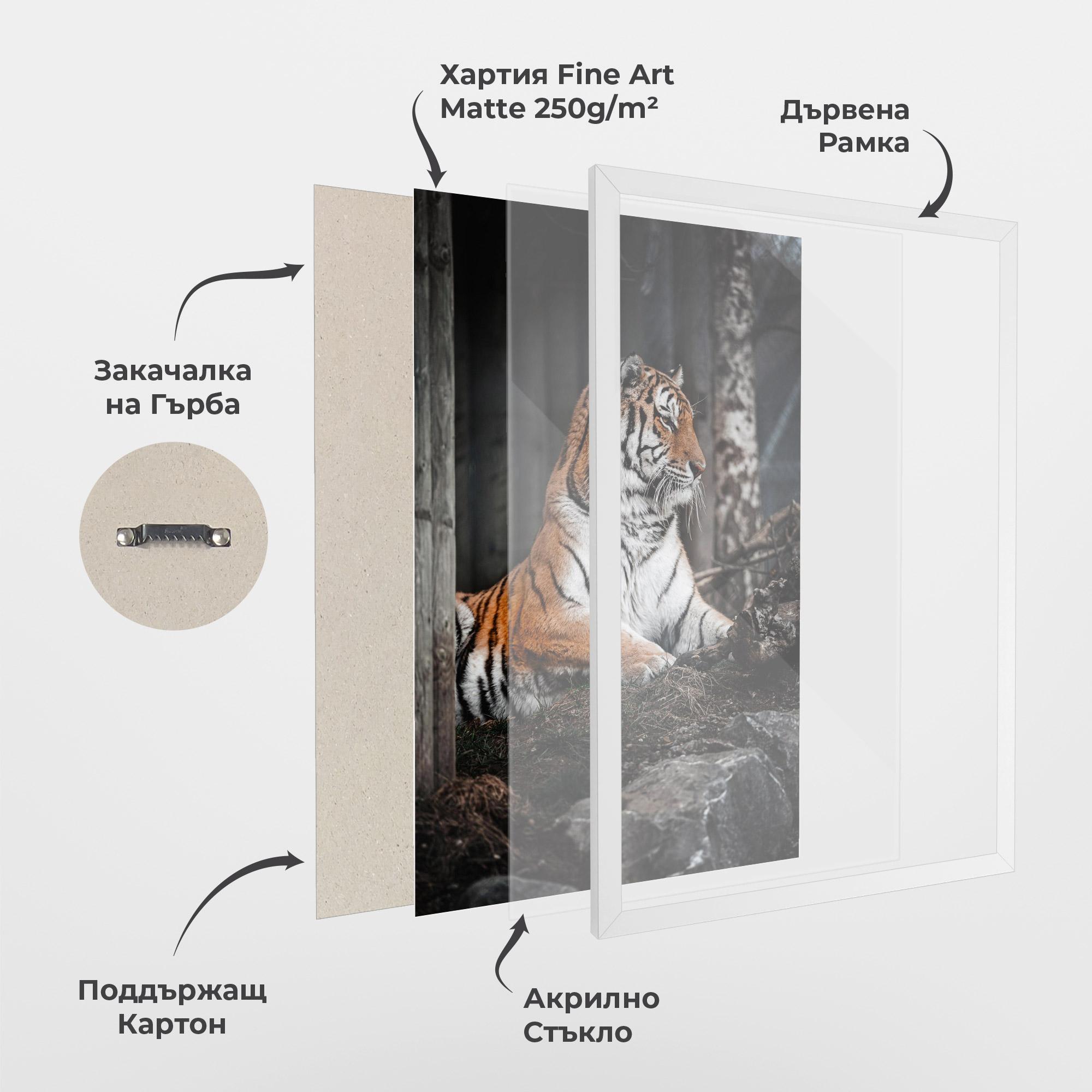 Рамкиран постер Forest Tiger mockup 1