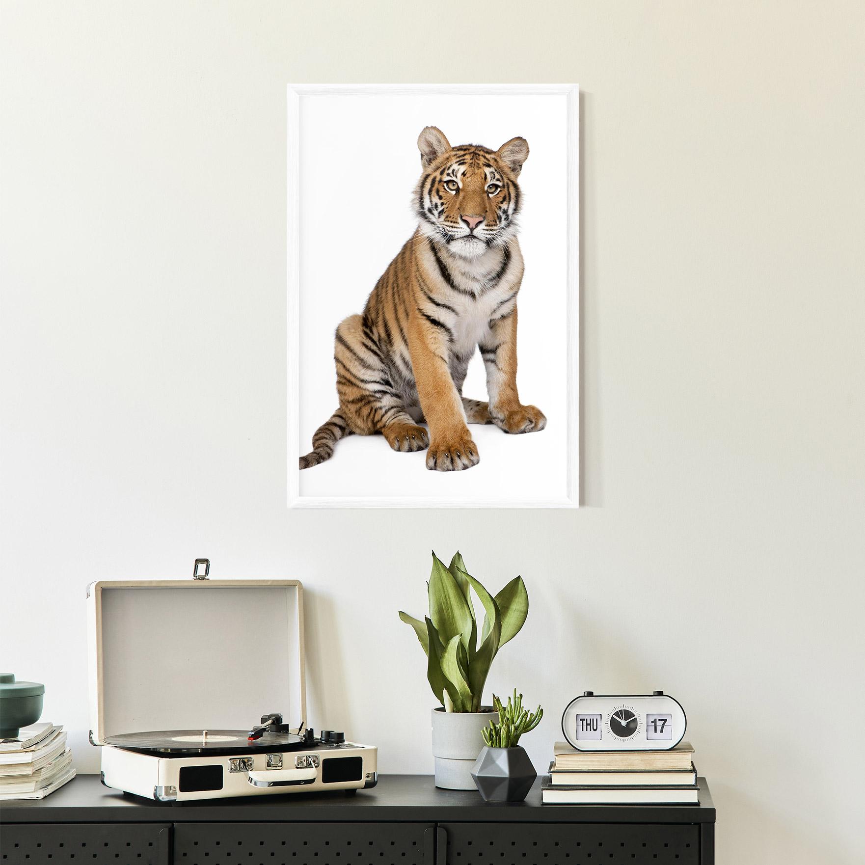 Рамкиран постер Baby Tiger mockup 2