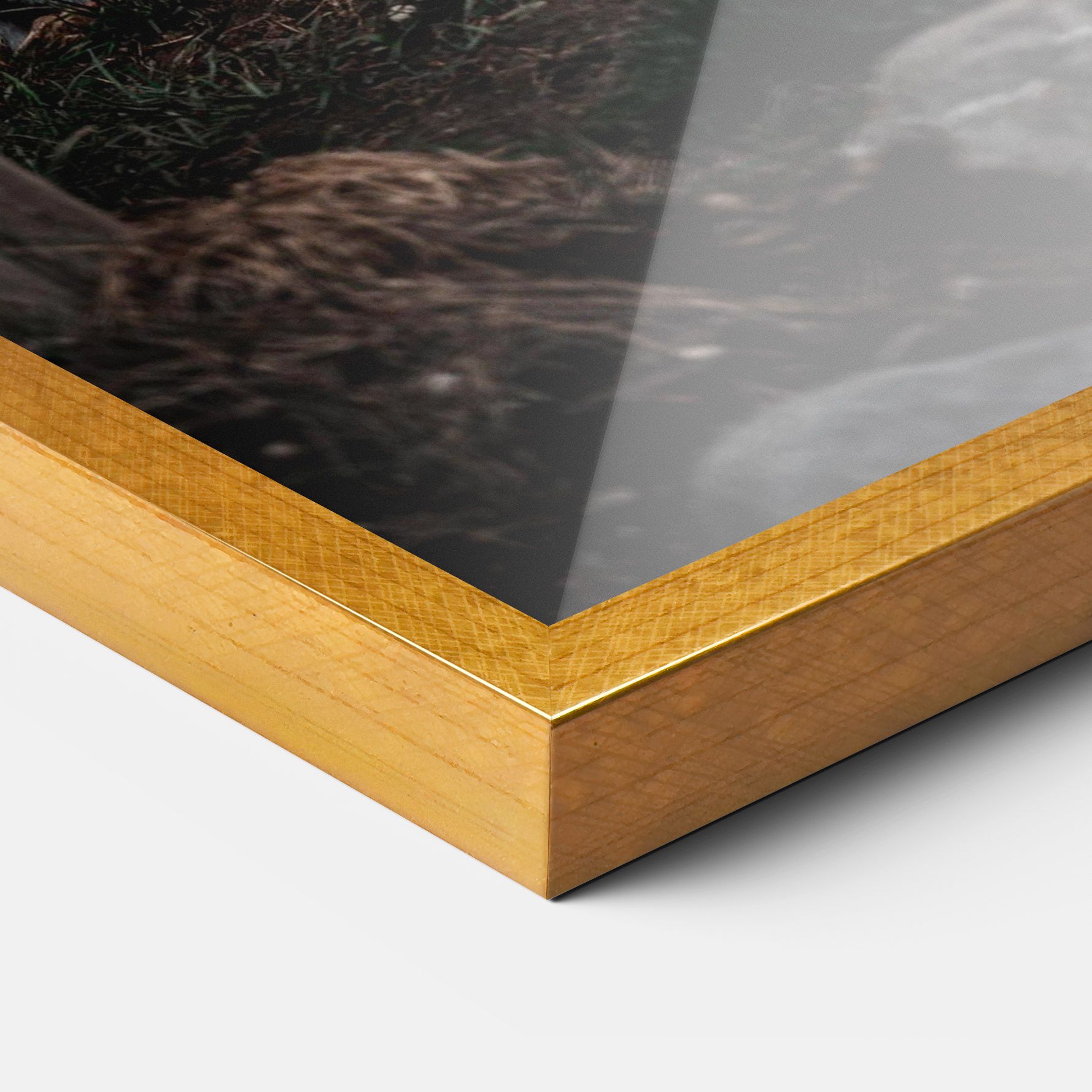 Forest Tiger mockup 3