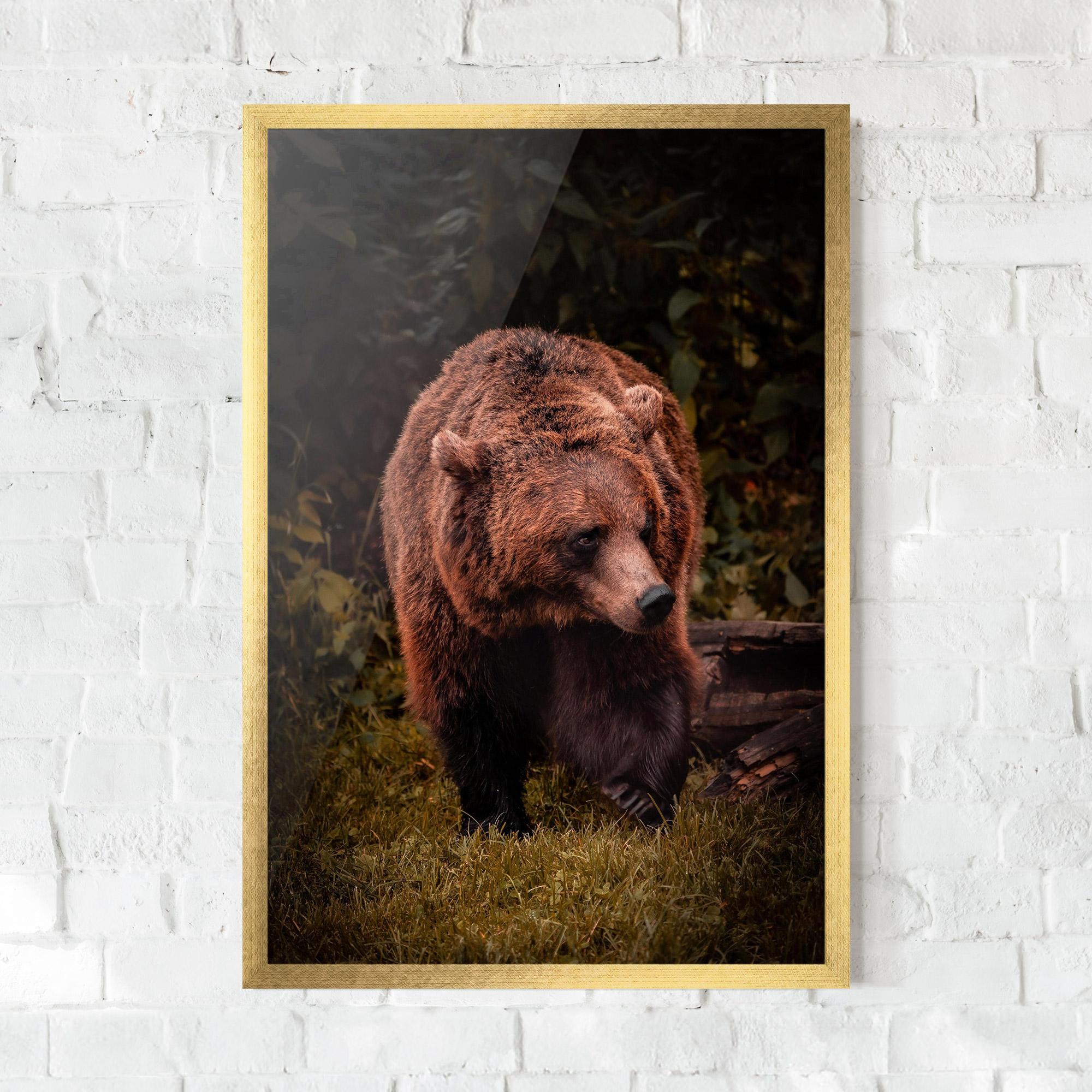 Рамкиран постер Brown Bear mockup 0
