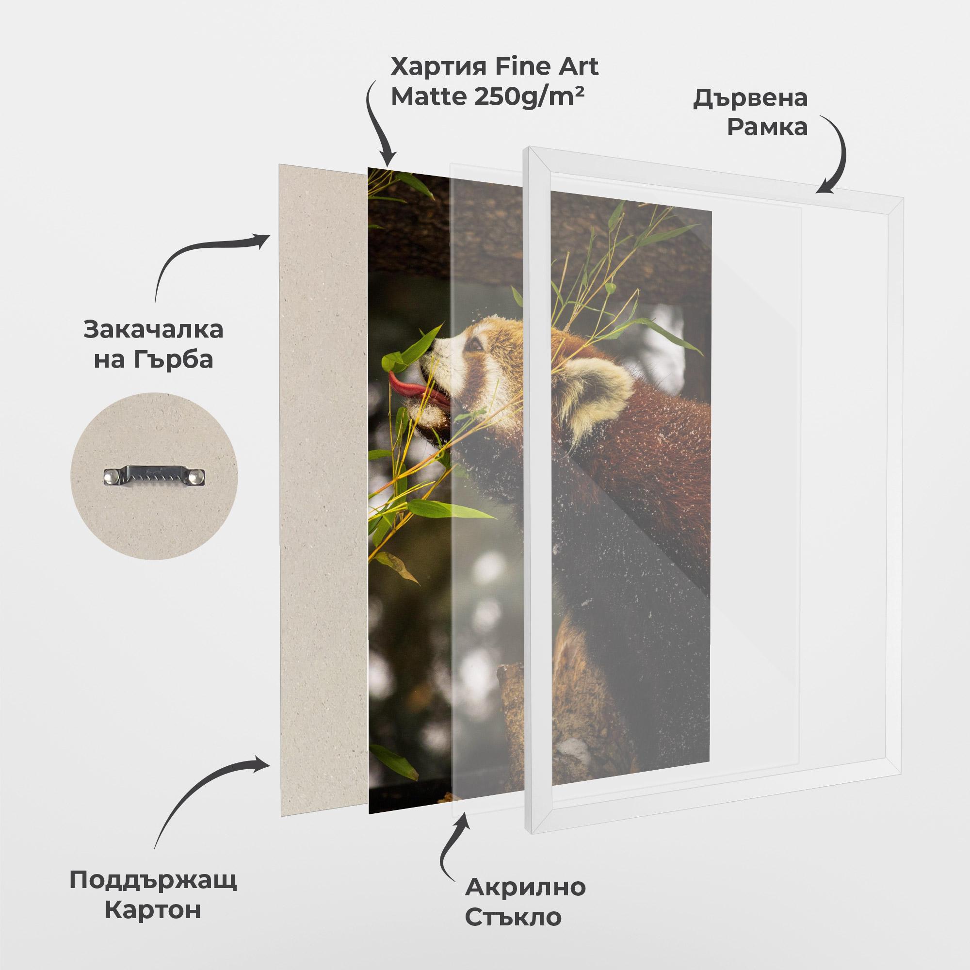 Рамкиран постер Red Panda mockup 1