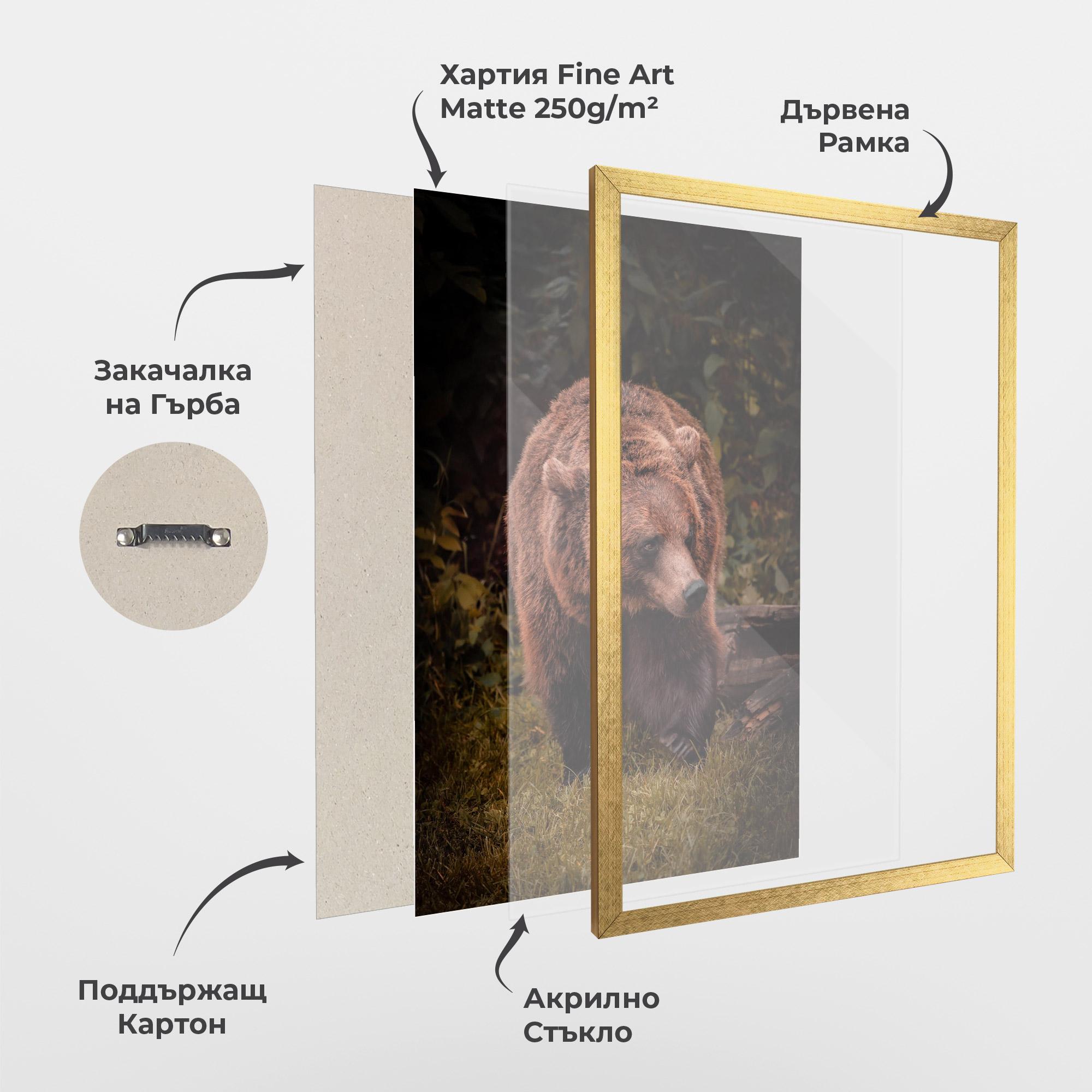 Рамкиран постер Brown Bear mockup 1