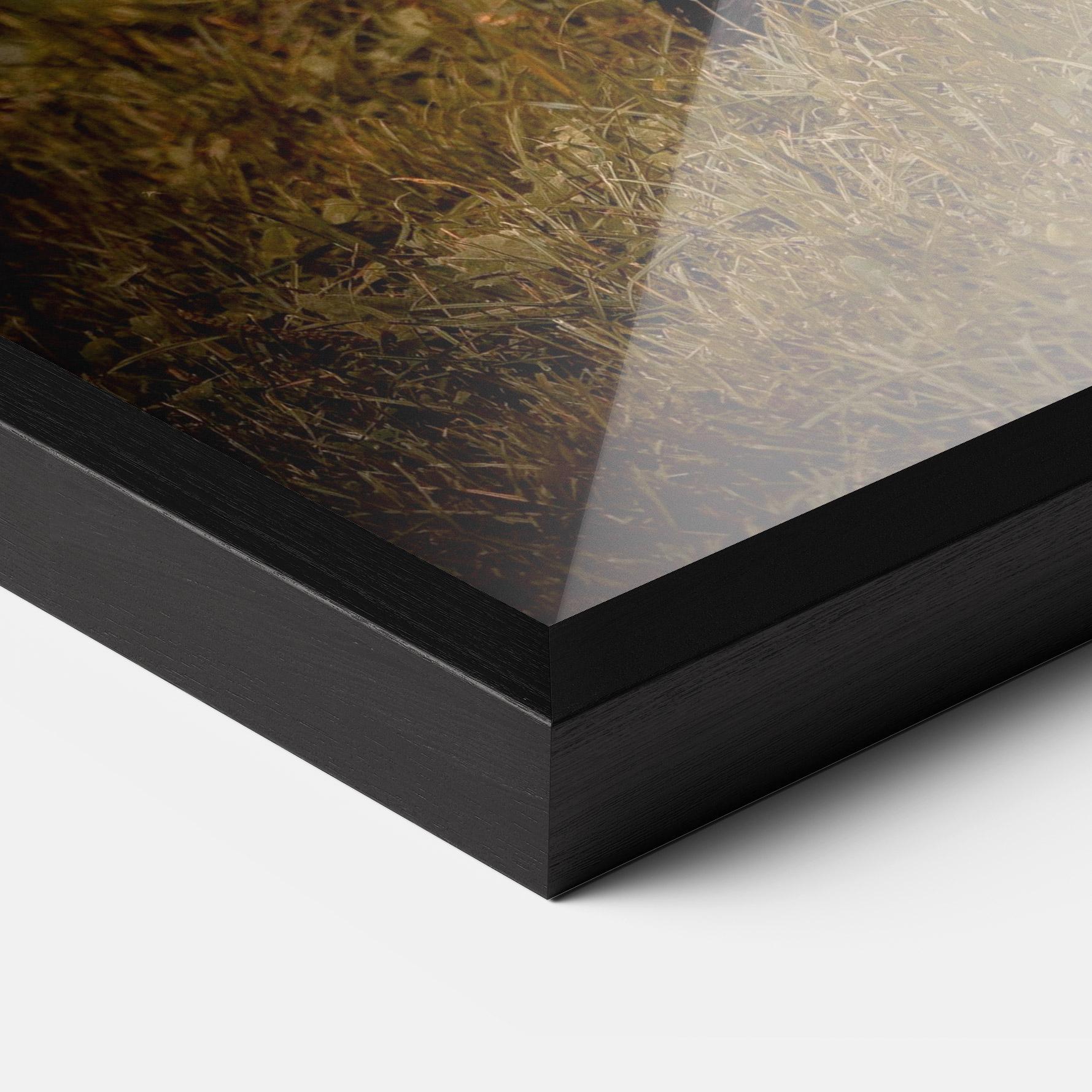 Рамкиран постер Brown Bear mockup 3