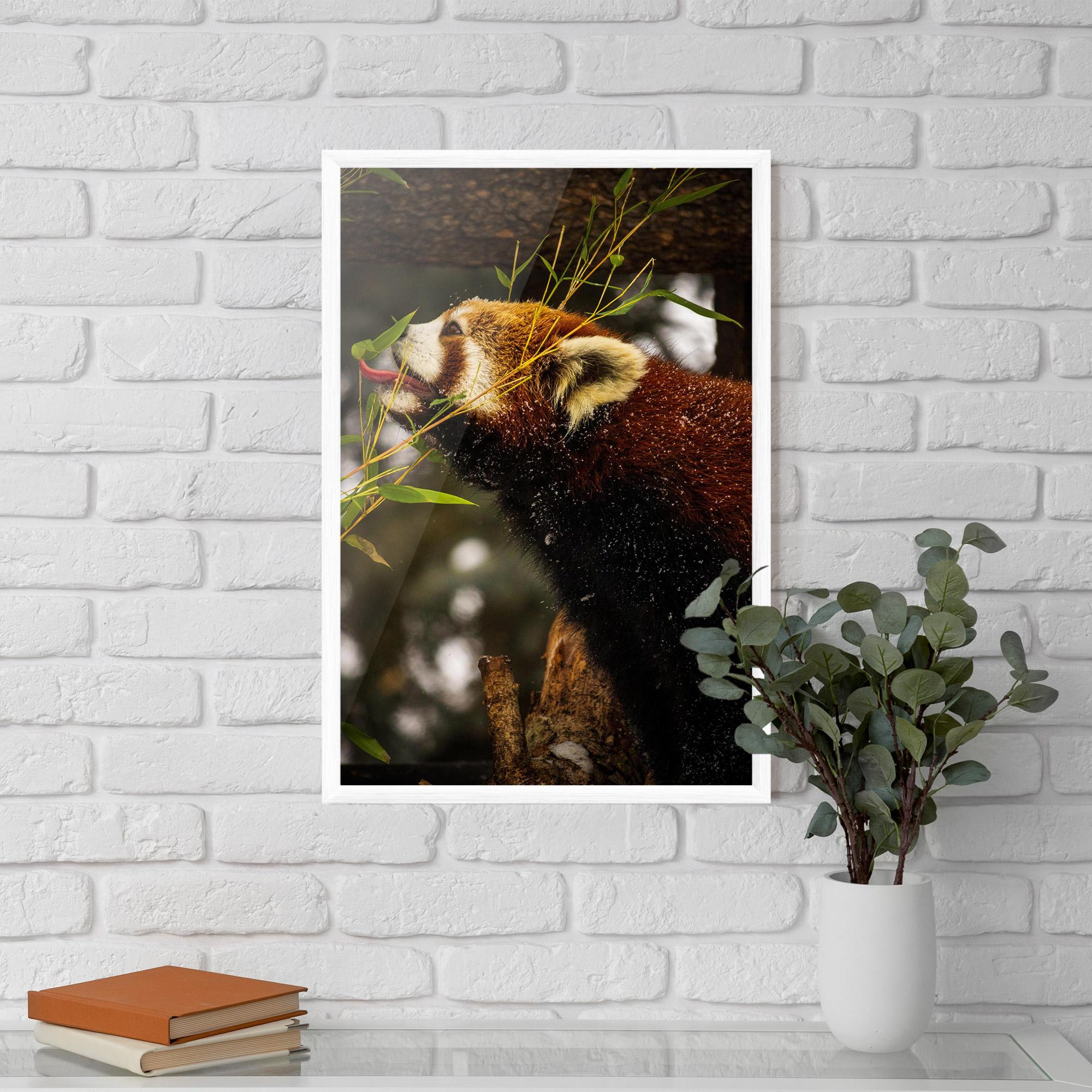 Рамкиран постер Red Panda mockup 5