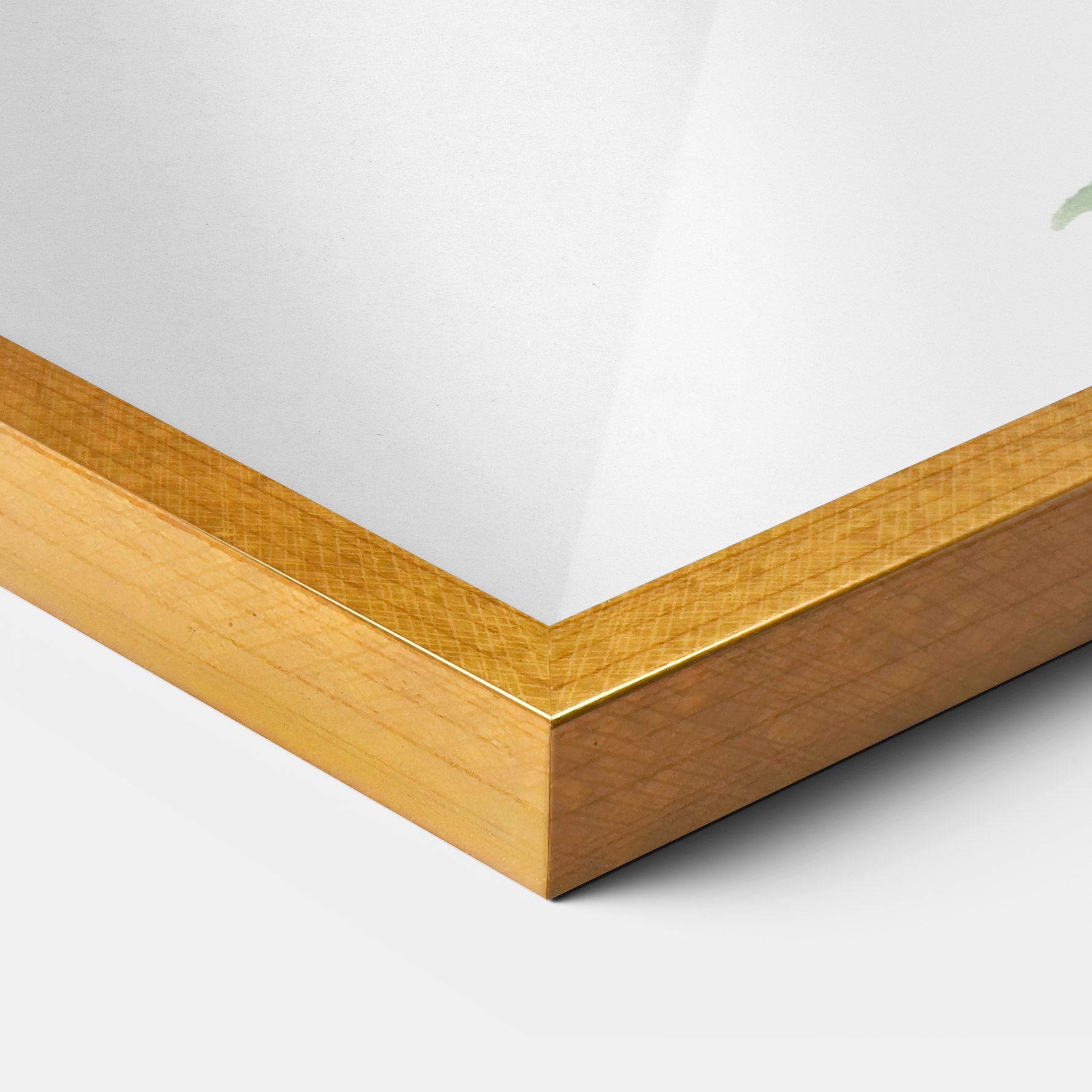 Lenes Somnoros mockup 3