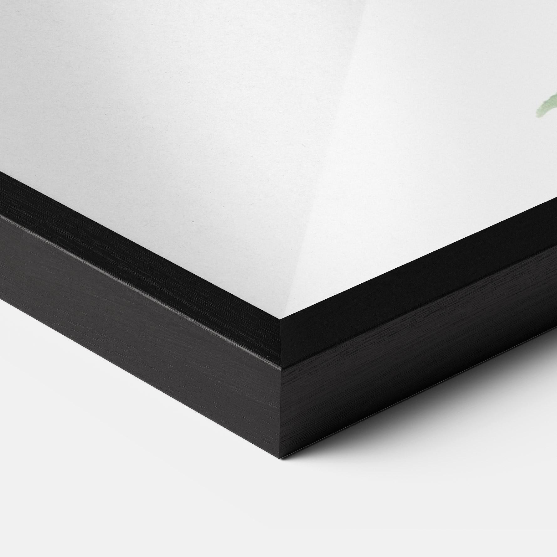 Рамкиран постер Lenes Somnoros mockup 3