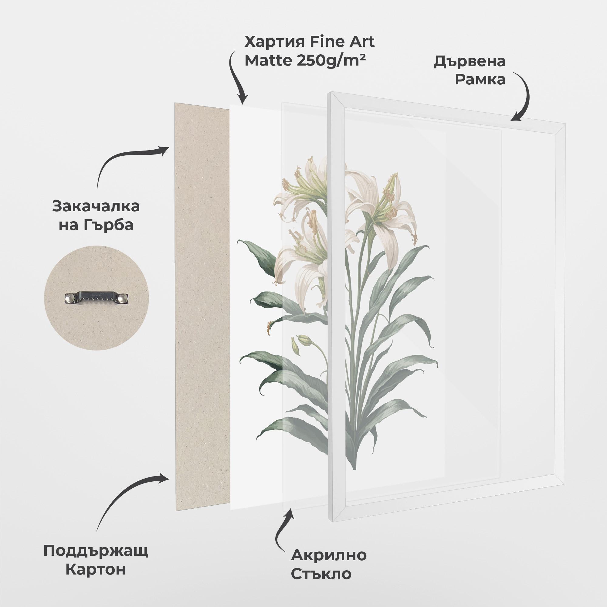 Рамкиран постер Columbia Lily mockup 1