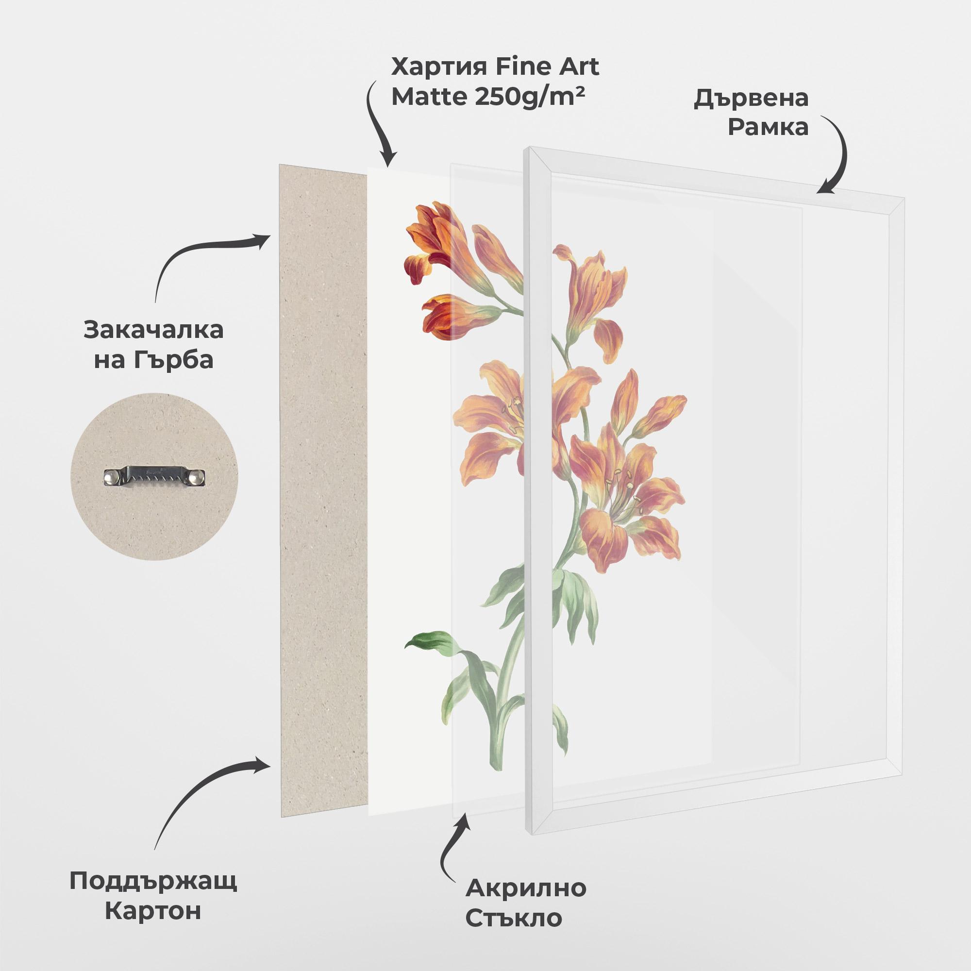 Рамкиран постер Orange Painted Lily mockup 1