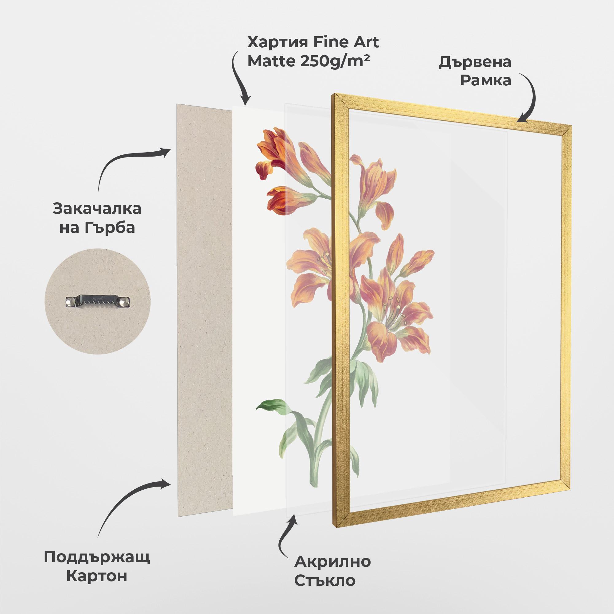 Рамкиран постер Orange Painted Lily mockup 1