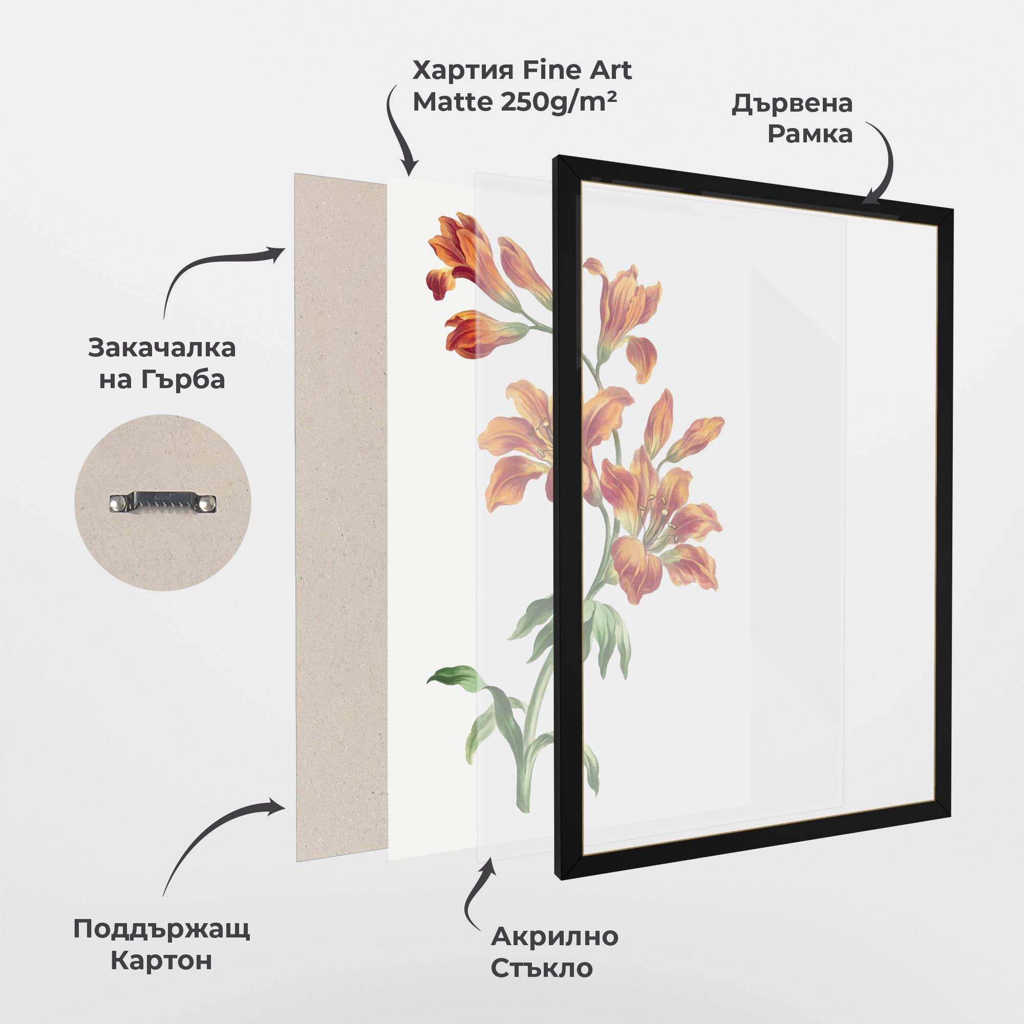 Рамкиран постер Orange Painted Lily mockup 1