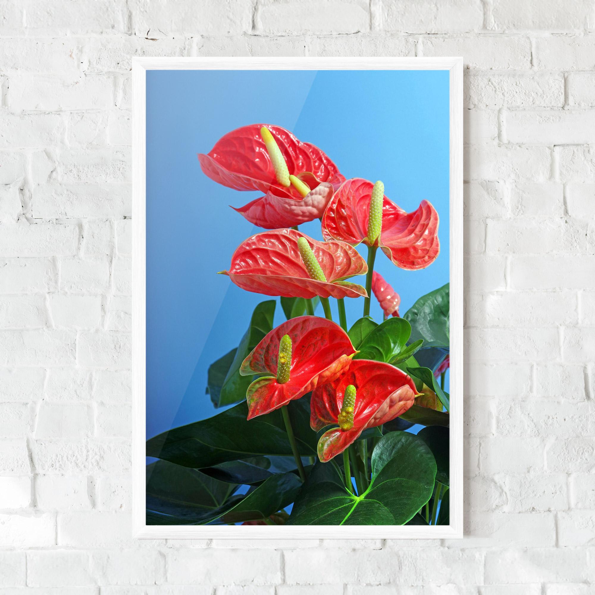 Рамкиран постер Red Green Exotic mockup 0