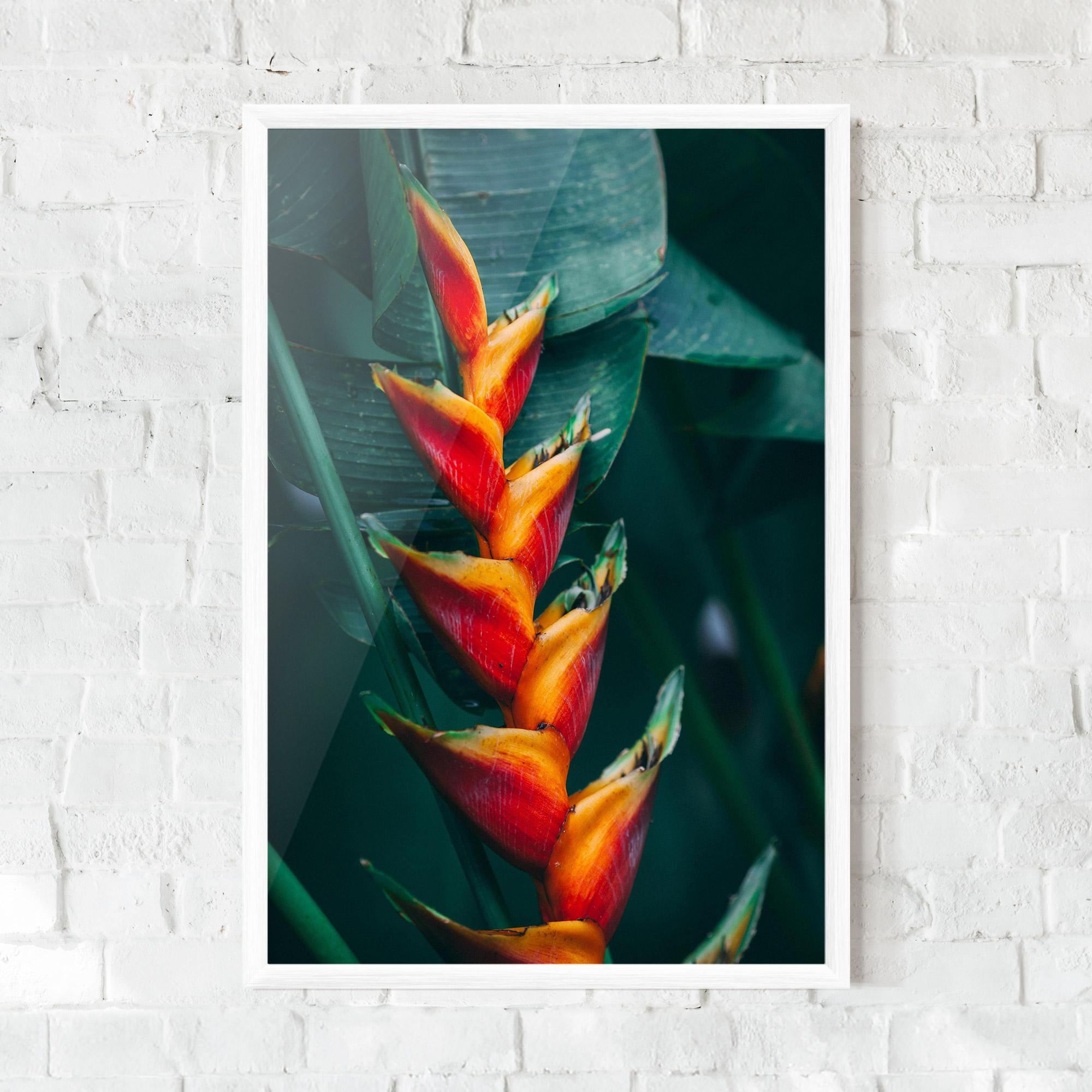 Рамкиран постер Red Orange Exotic mockup 0