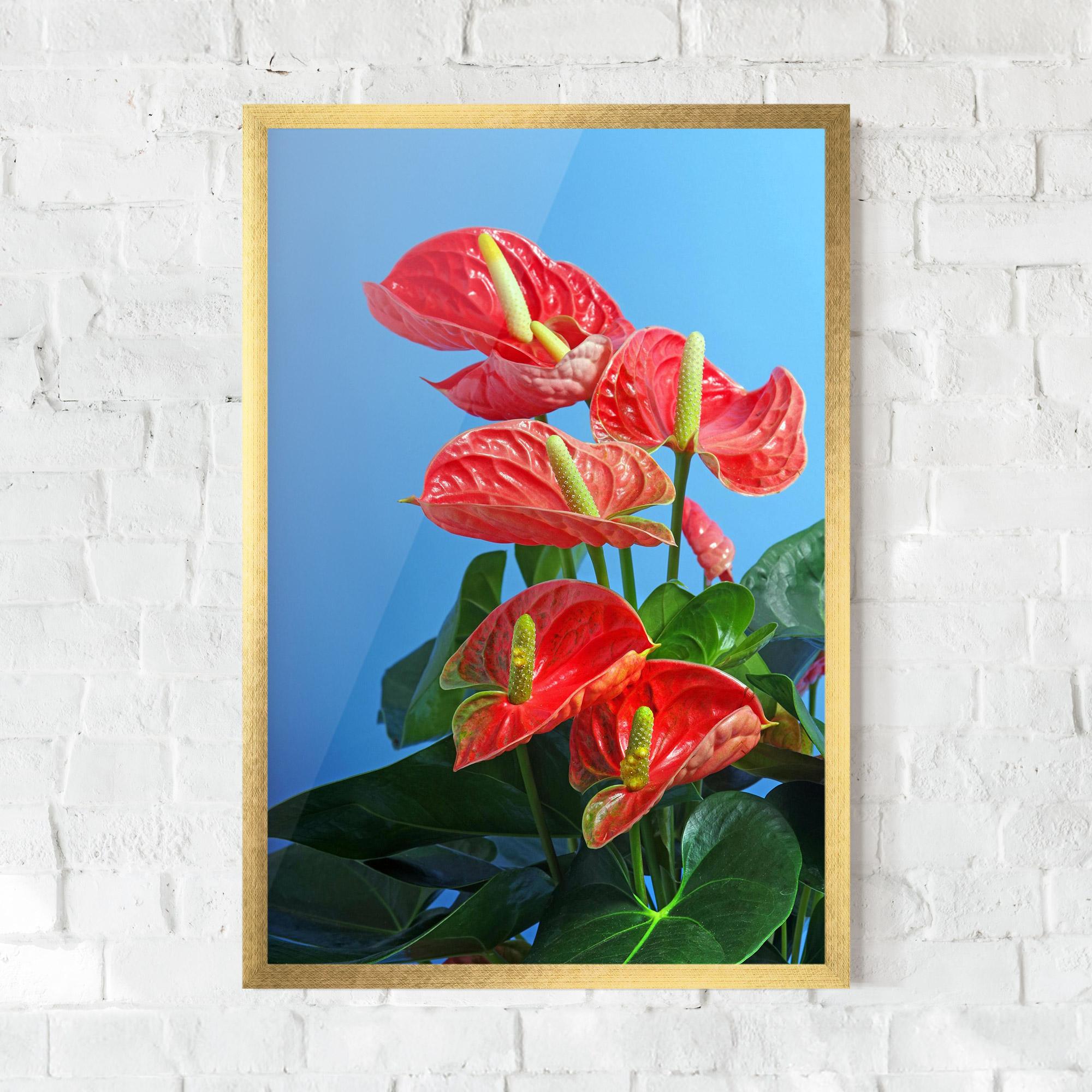 Рамкиран постер Red Green Exotic mockup 0