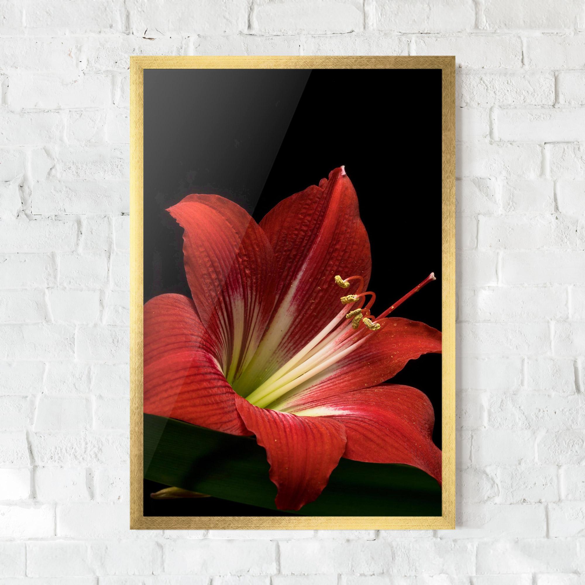 Рамкиран постер Red Yellow Exotic mockup 0