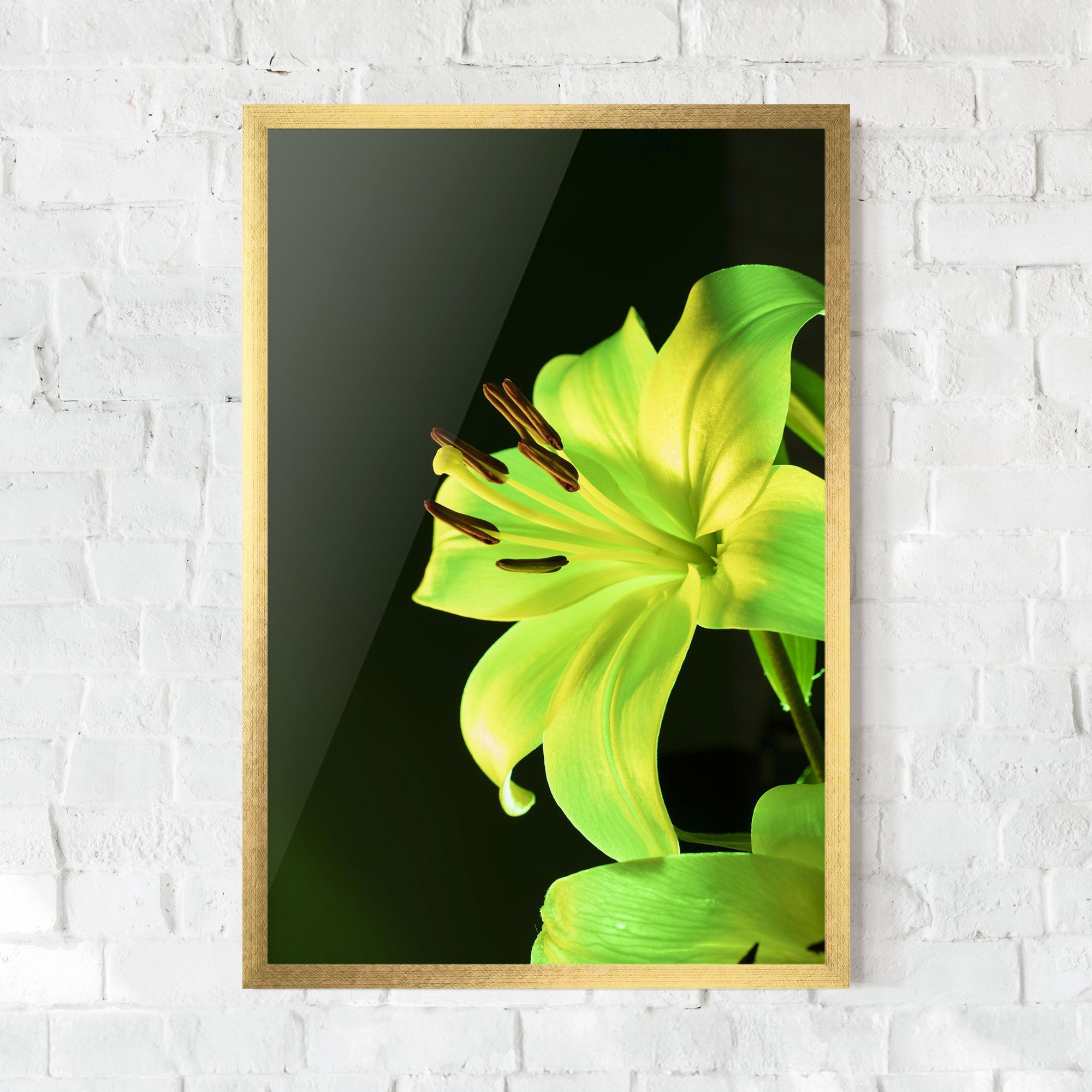 Yellow Green Exotic mockup 0