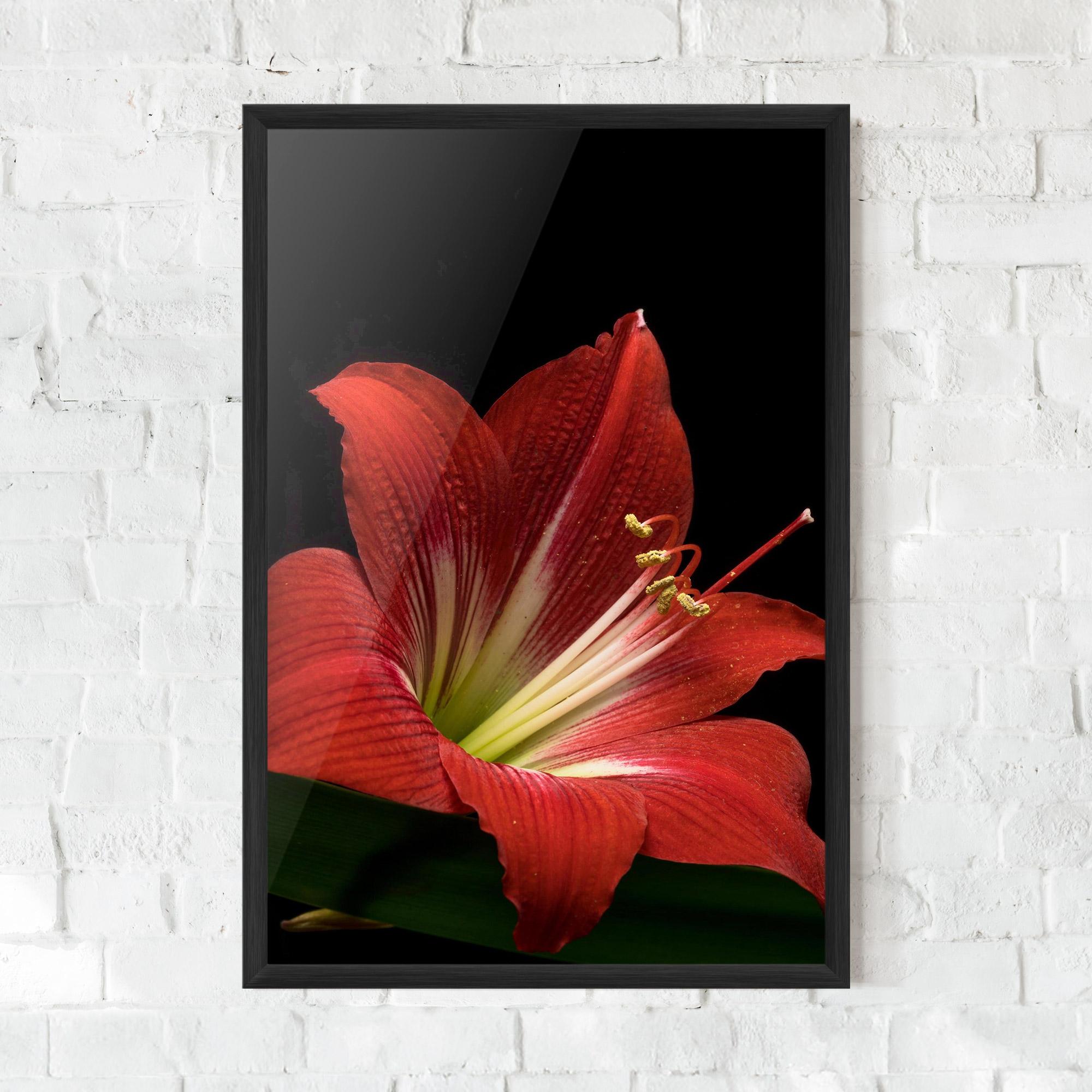 Рамкиран постер Red Yellow Exotic mockup 0