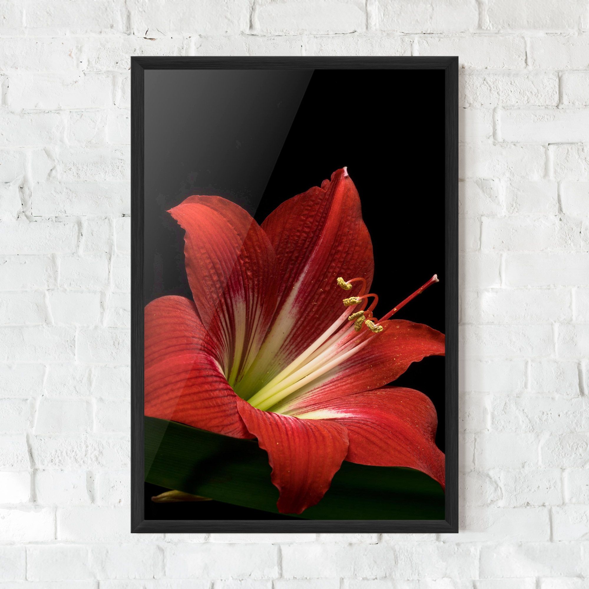 Red Yellow Exotic mockup 0