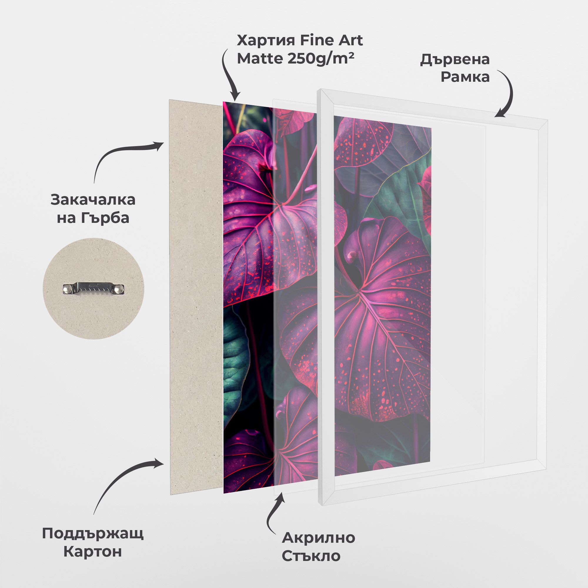 Big Purple Exotic mockup 1