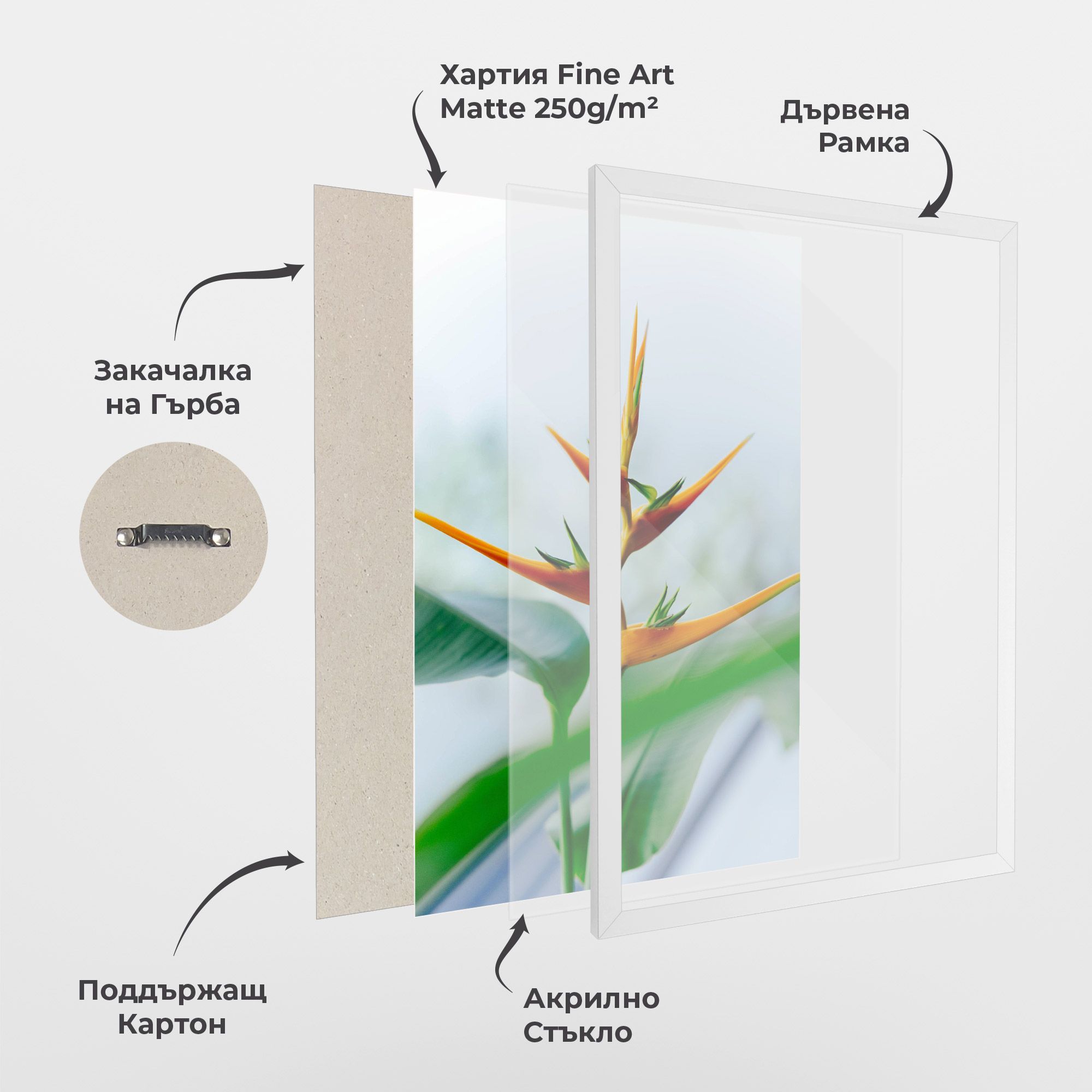 Exotic Orange Green mockup 1