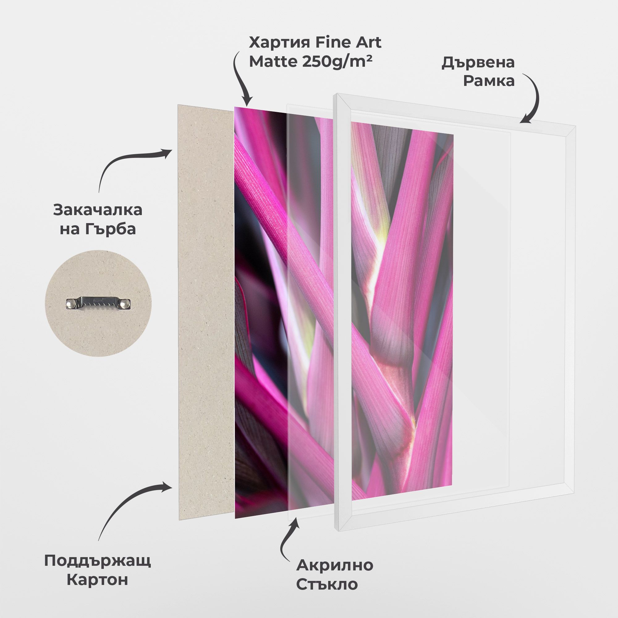 Purple Exotic Plant mockup 1