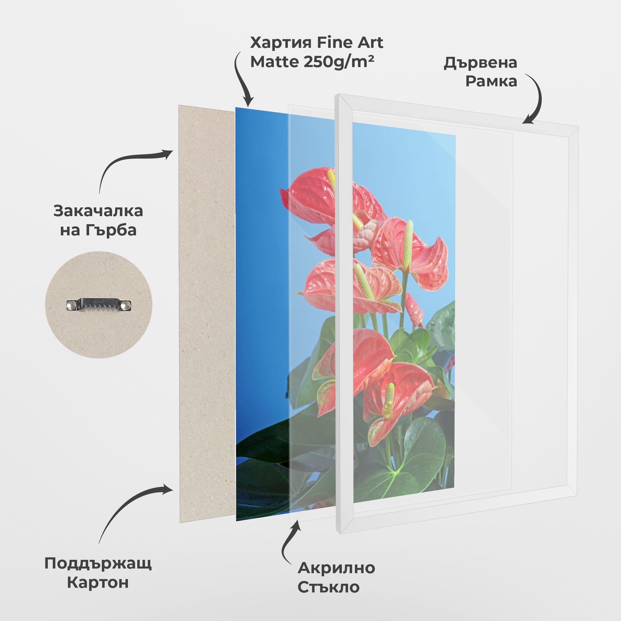 Рамкиран постер Red Green Exotic mockup 1